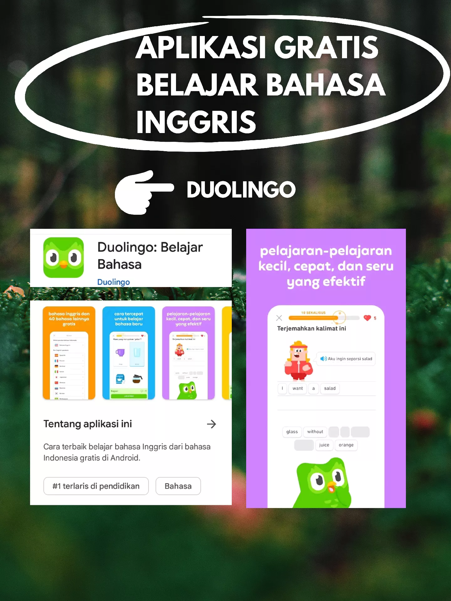 Rekomendasi Aplikasi Belajar Bahasa Inggris Gratis Galeri Diposting