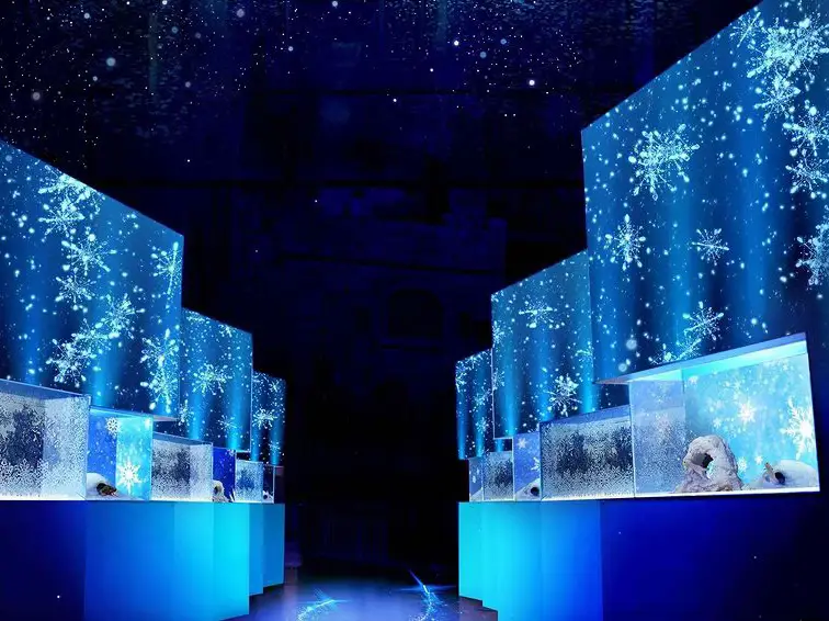 Naked Snow Aquarium Maxell Aqua Park Shinagawa Gallery Posted By