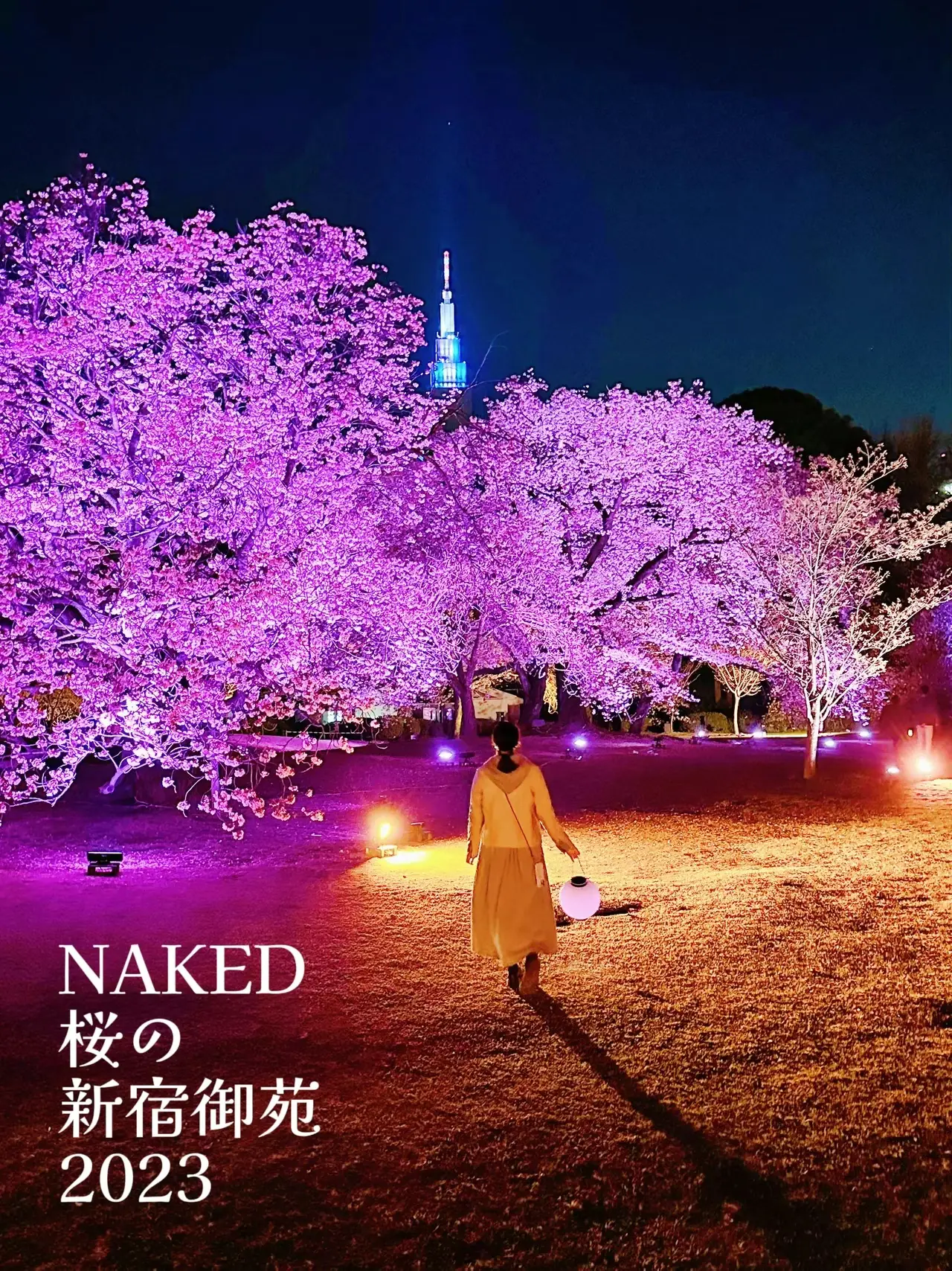 Tokyo Night Date Naked Sakura Shinjuku Gyoen Collaboration