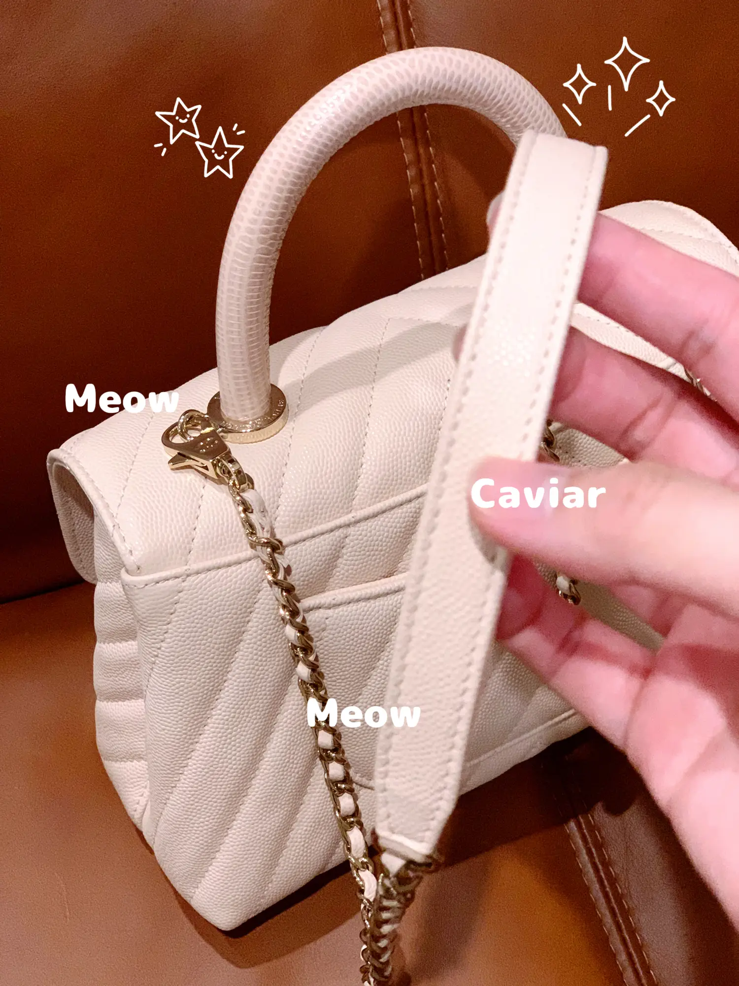 Thoughts and review of the Chanel Coco Handle Mini