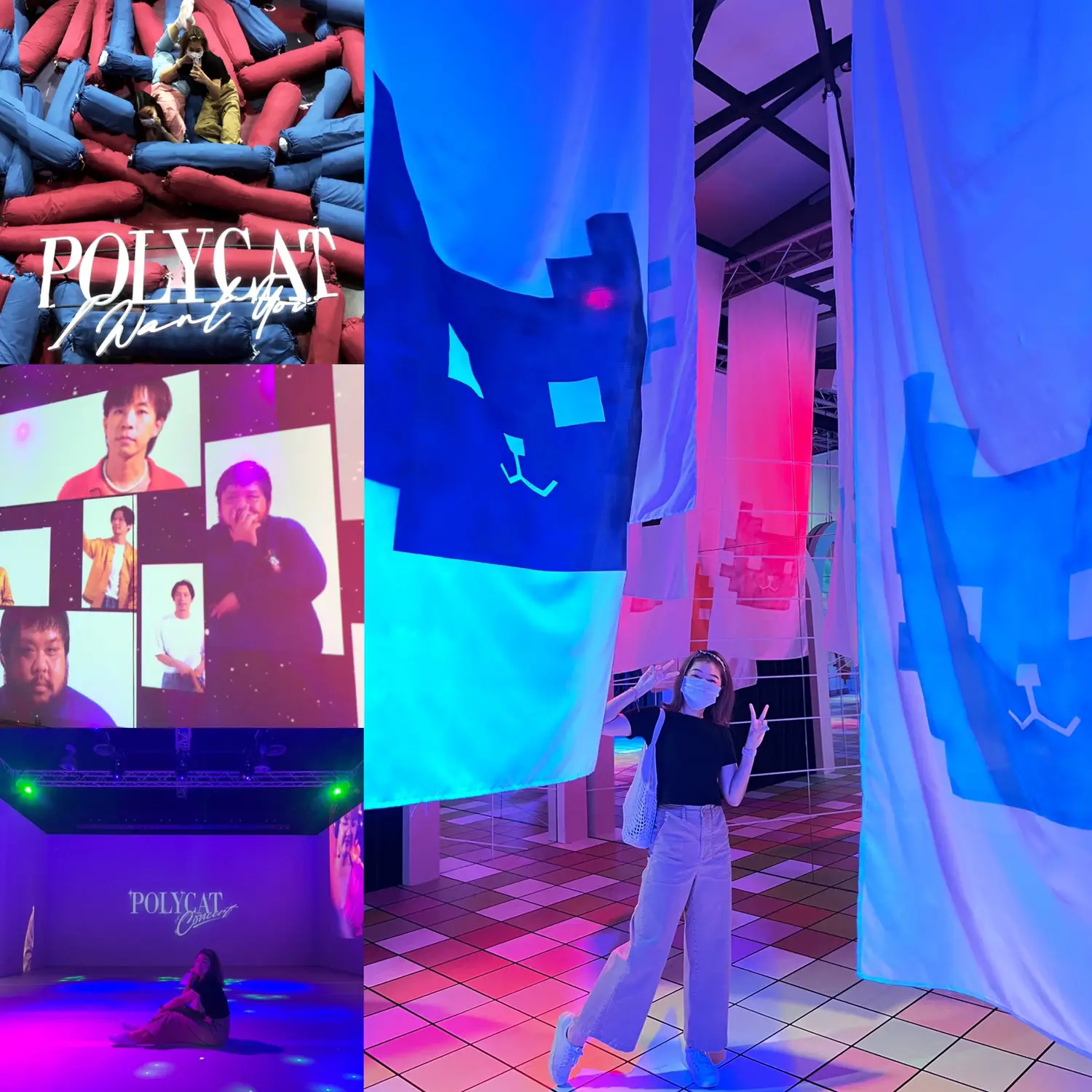Polycat POLYCAT Virtual Memory Concert🫀📼🎵 | แกลเลอรีที่โพสต์โดย jhujubtheworld ...