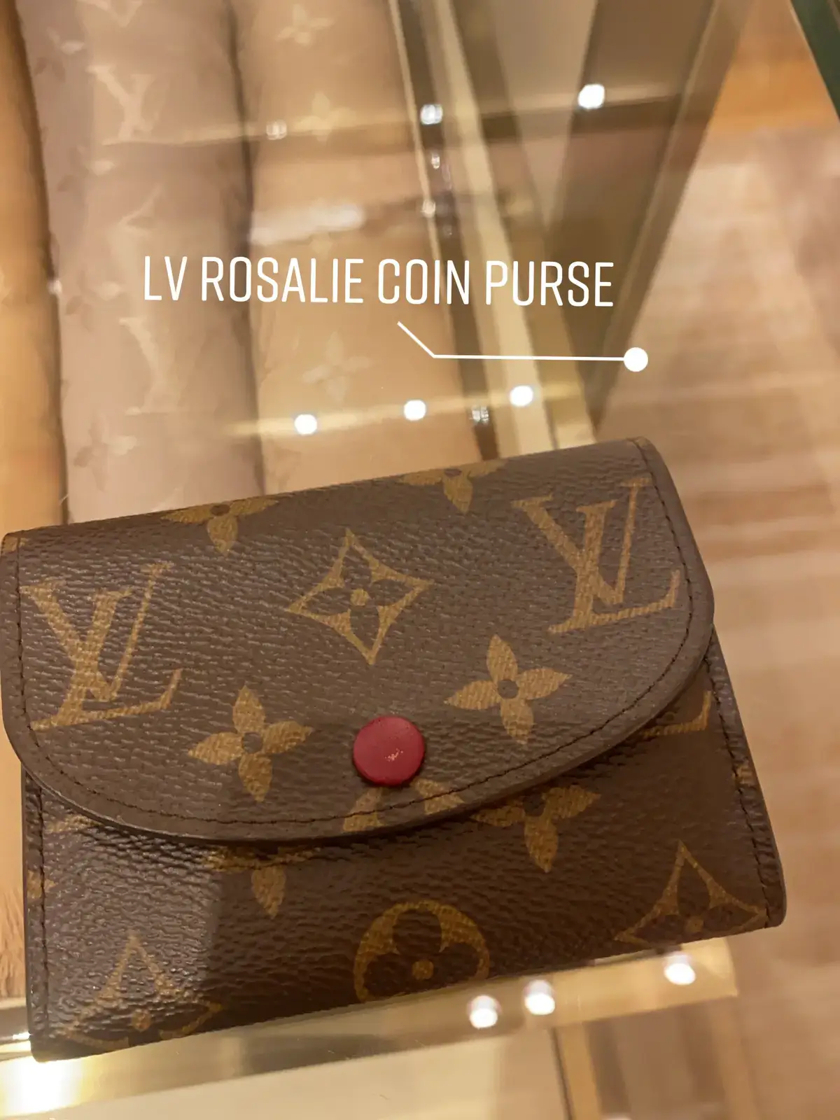 Review: Louis Vuitton Rosalie Coin Purse, Nicole M. Video