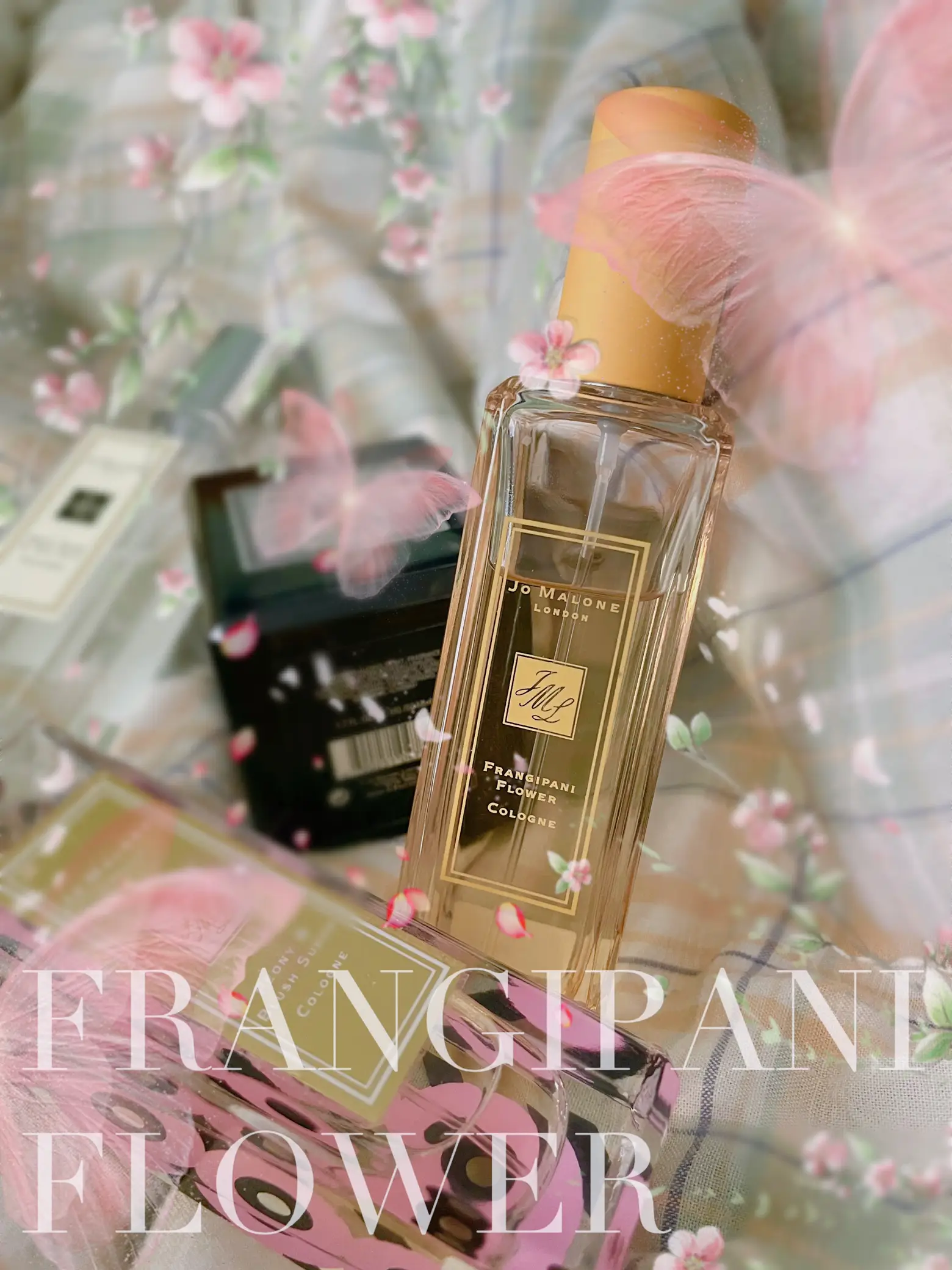 Jo malone 2024 frangipani 30ml