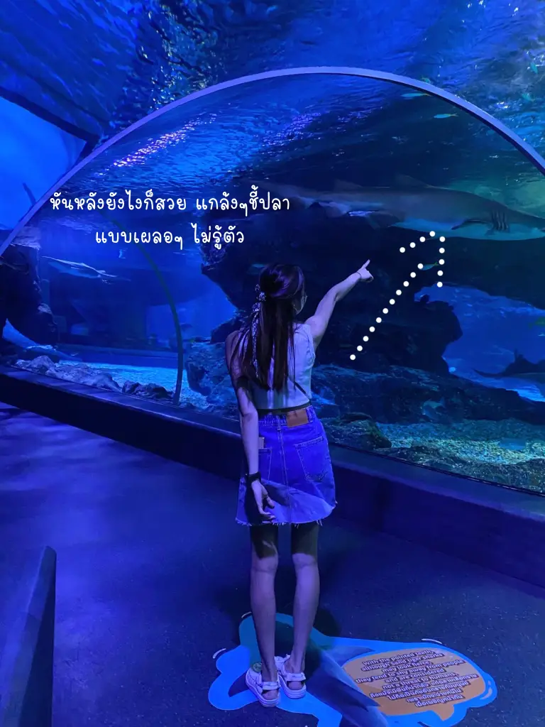 ไป Sea Life Bagkok ด้วยบัตร 460 บาท | แกลเลอรีที่โพสต์โดย มัมหมีทำอะไร ...