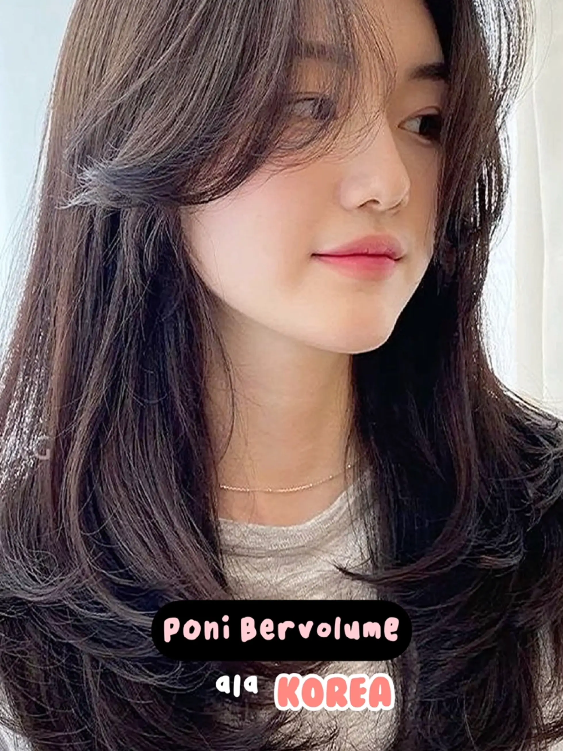 Poni korea