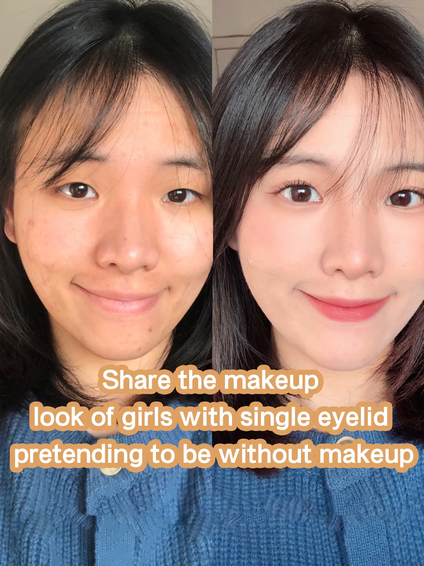 Scheming Fake Makeup Tutorial