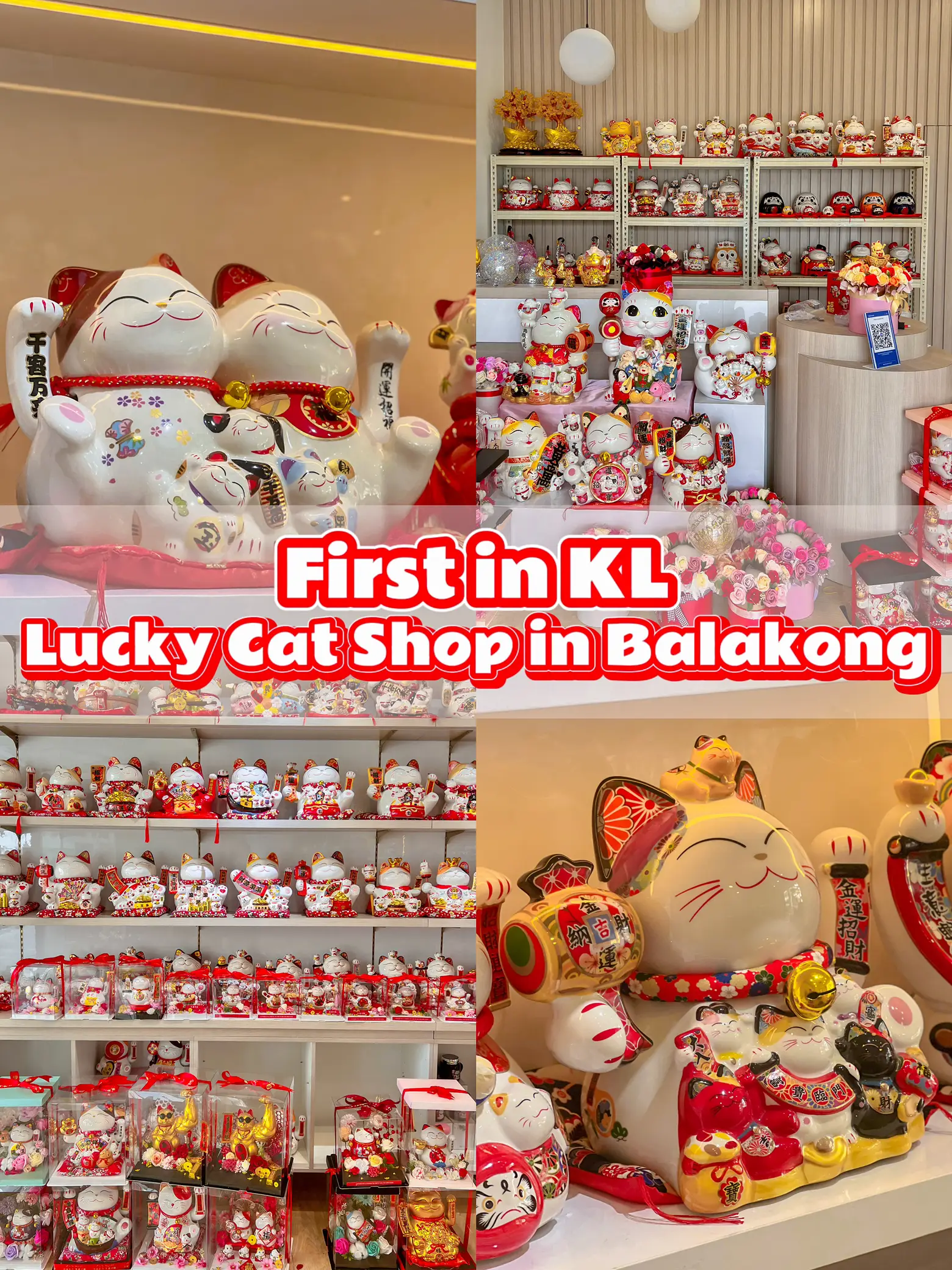 Lucky on sale cat malaysia