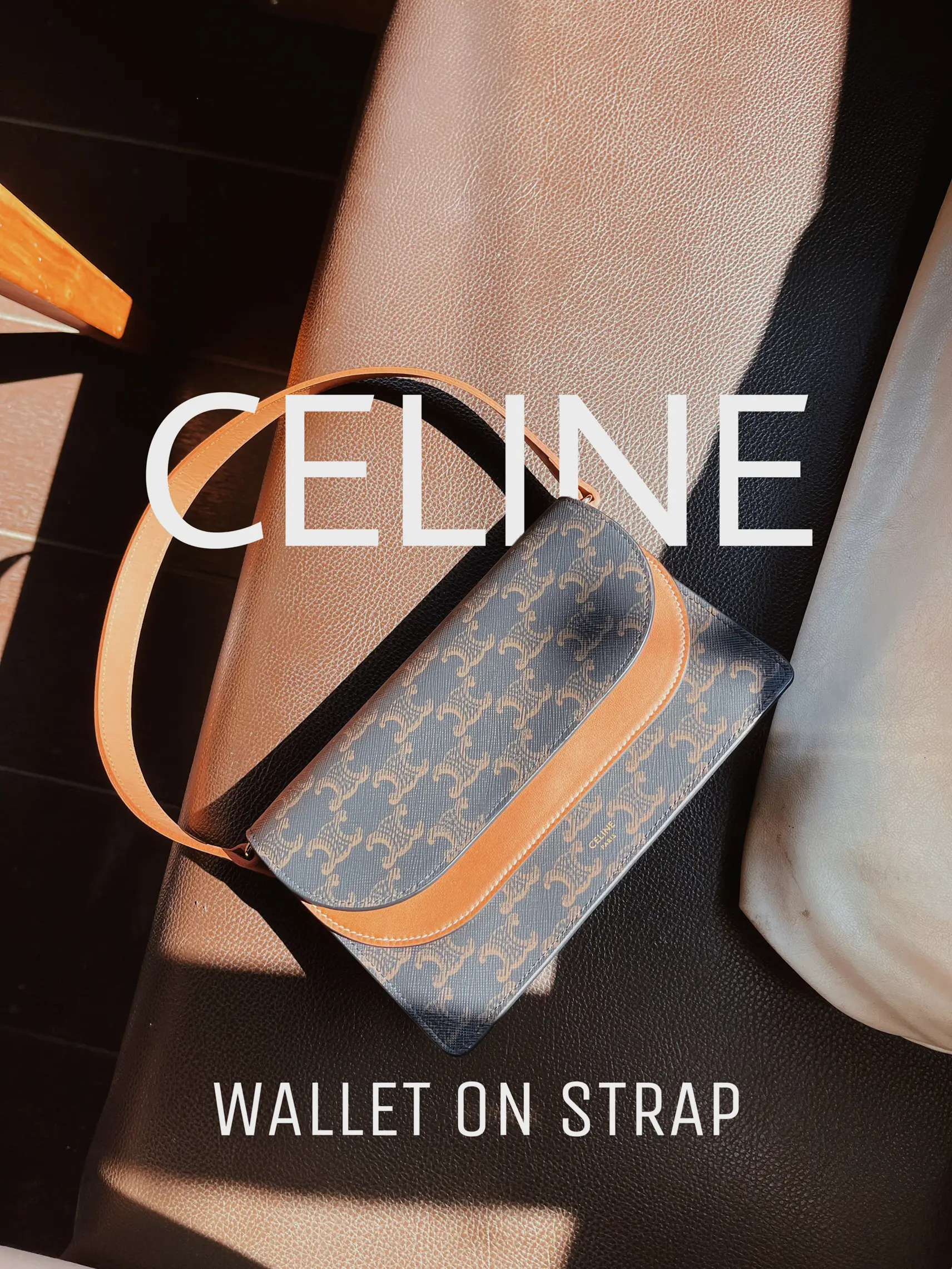 celine wallet on strap in triomphe canvas