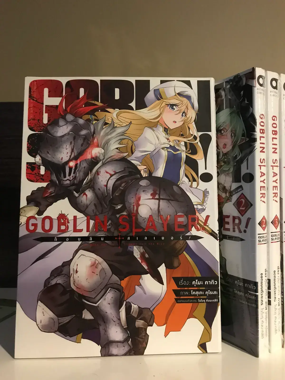 Goblin Slayer/Image Gallery  Slayer, Goblin, Fantasy adventurer