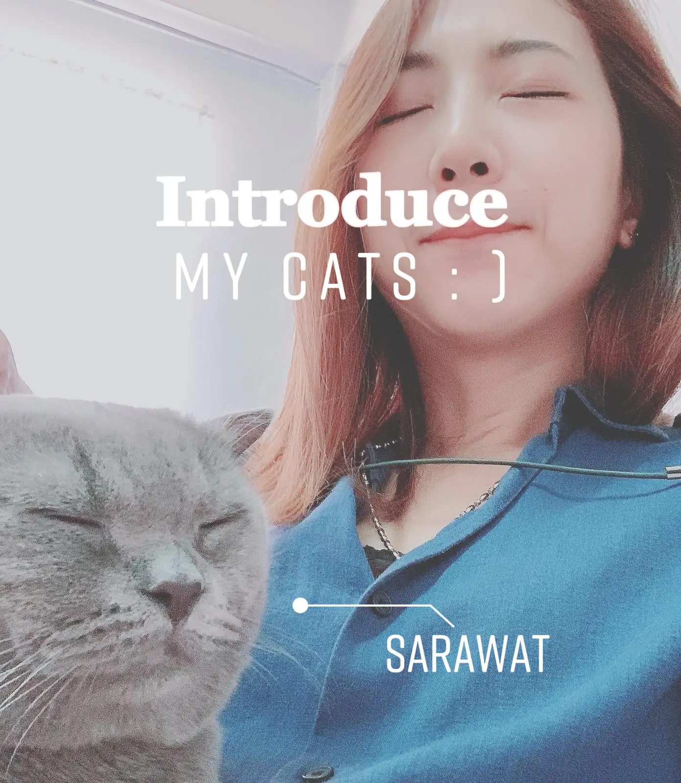 My Kitten Slang การค้นหาใน Lemon8