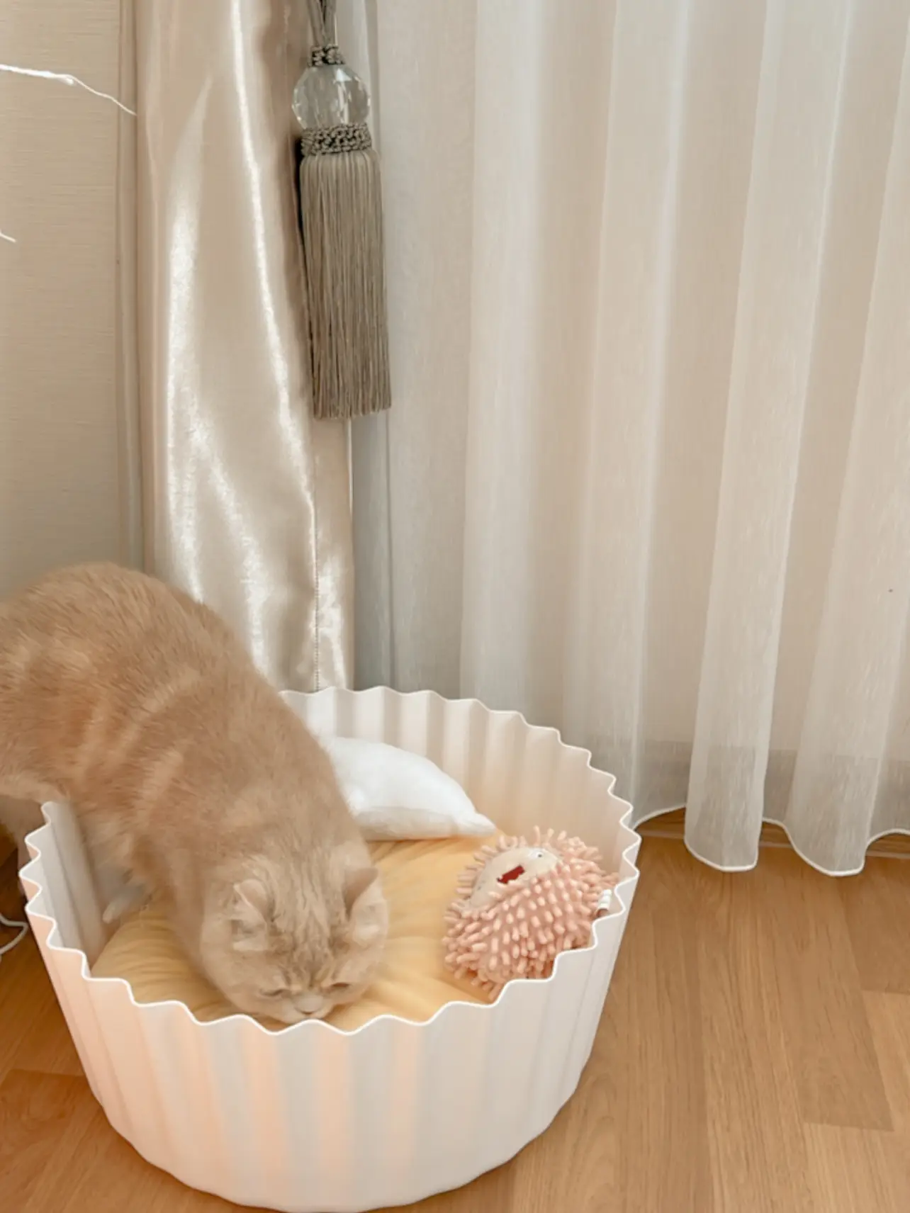 Cupcake cat outlet bed