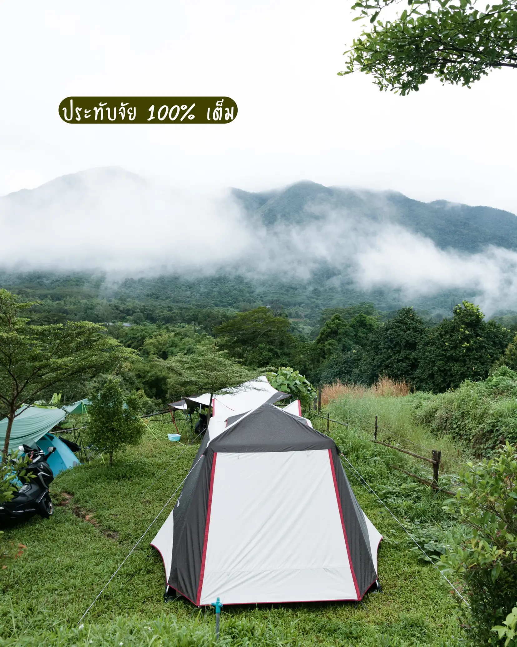 瞬間開閉✨ 1秒テント アウトドア キャンプ グリーン×オレンジ