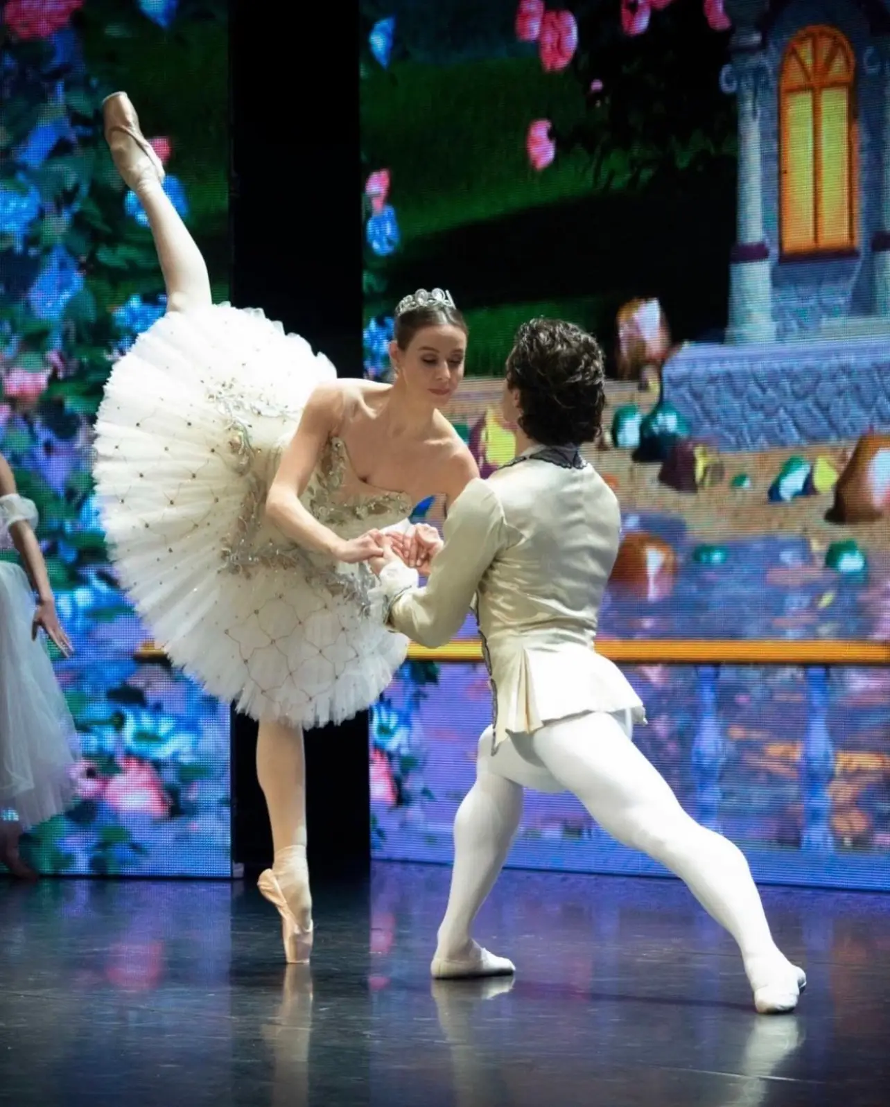 NUTCRACKER SYNDROME การค้นหาใน Lemon8