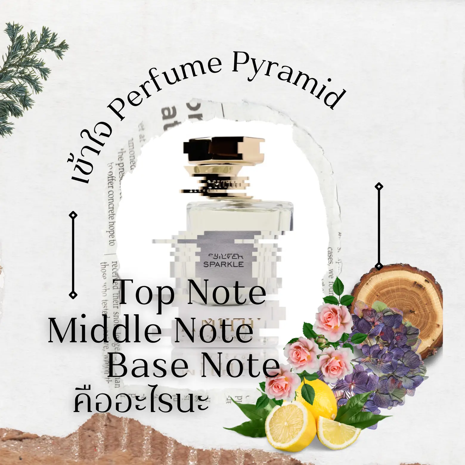 Perfume top middle online base notes