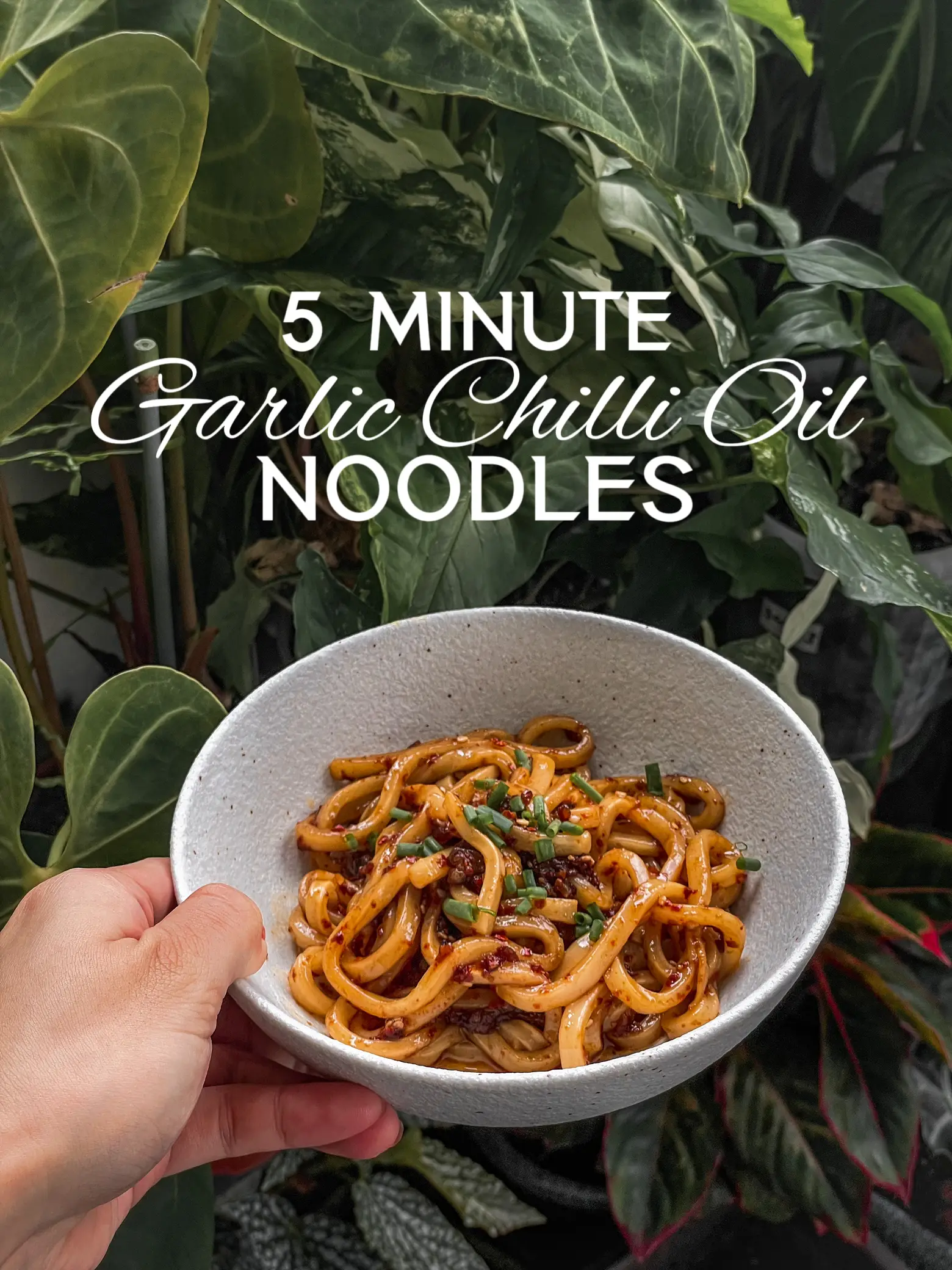Chilli Oil Noodles Recipe (Garlic Chilli Oil Noodles Recipe)