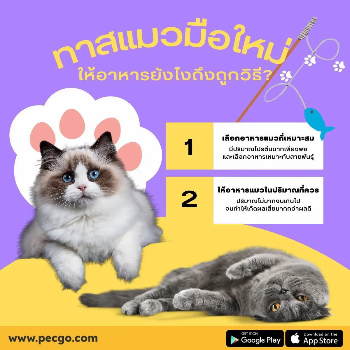 Two Cats - Apps on Google Play