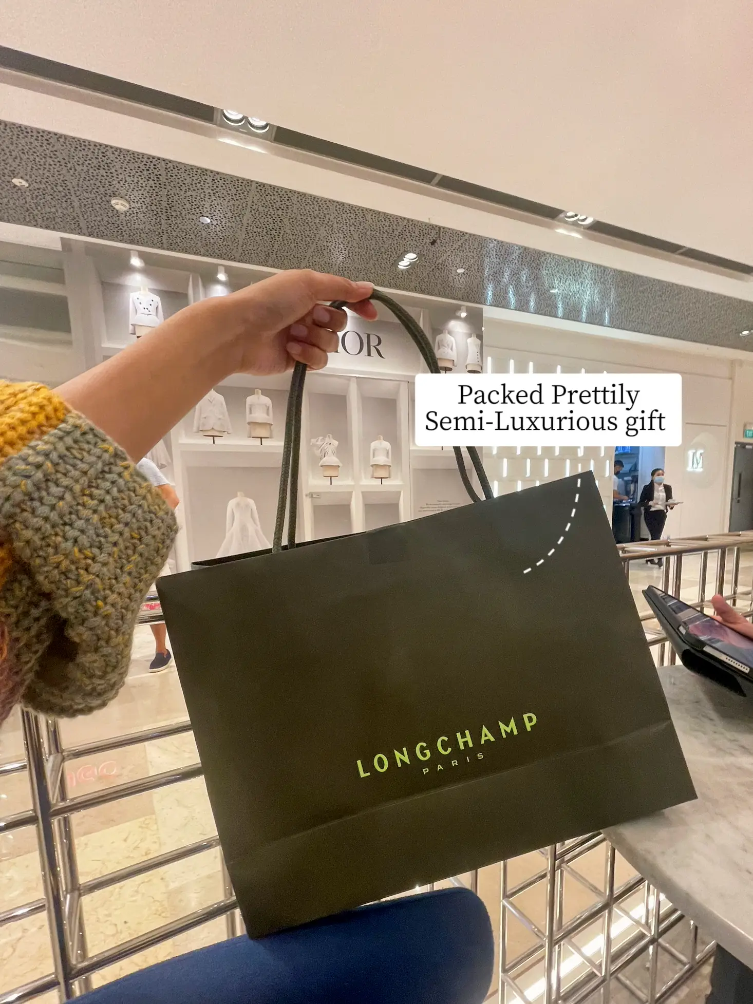 63 Longchamp ideas  longchamp, longchamp bags, longchamp bag