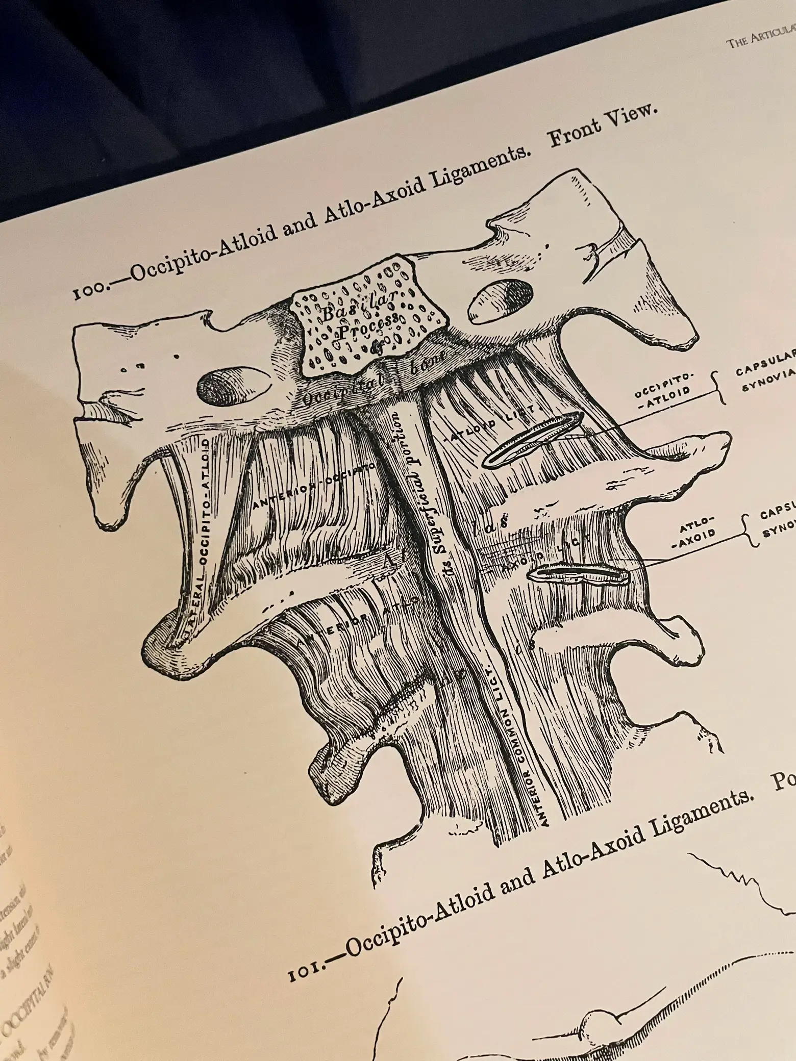 หนังสื๊อออAnatomy แค่วางไว้บนโต๊ะก็ดูตั้งใจเรียน🤣 | แกลเลอรีที่โพสต์โดย ...