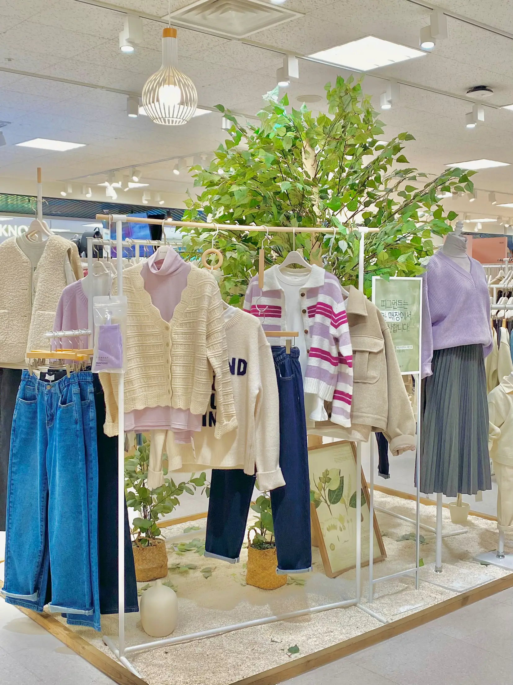 PIGMENT The most popular fashion clothing store in South Korea