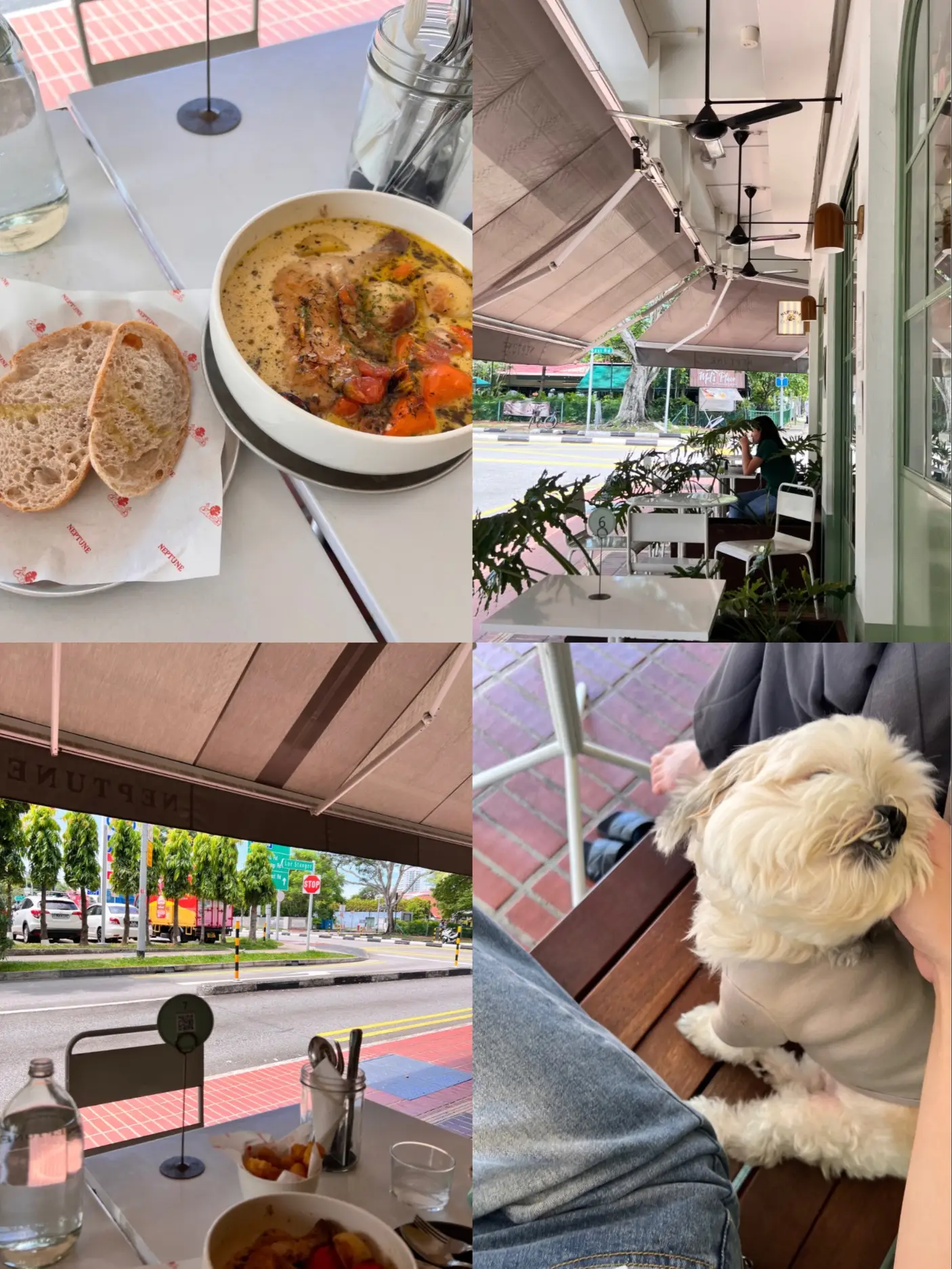 Pet Friendly Cafe in the East Part 1 | Gallery posted by Natasha Sim ...