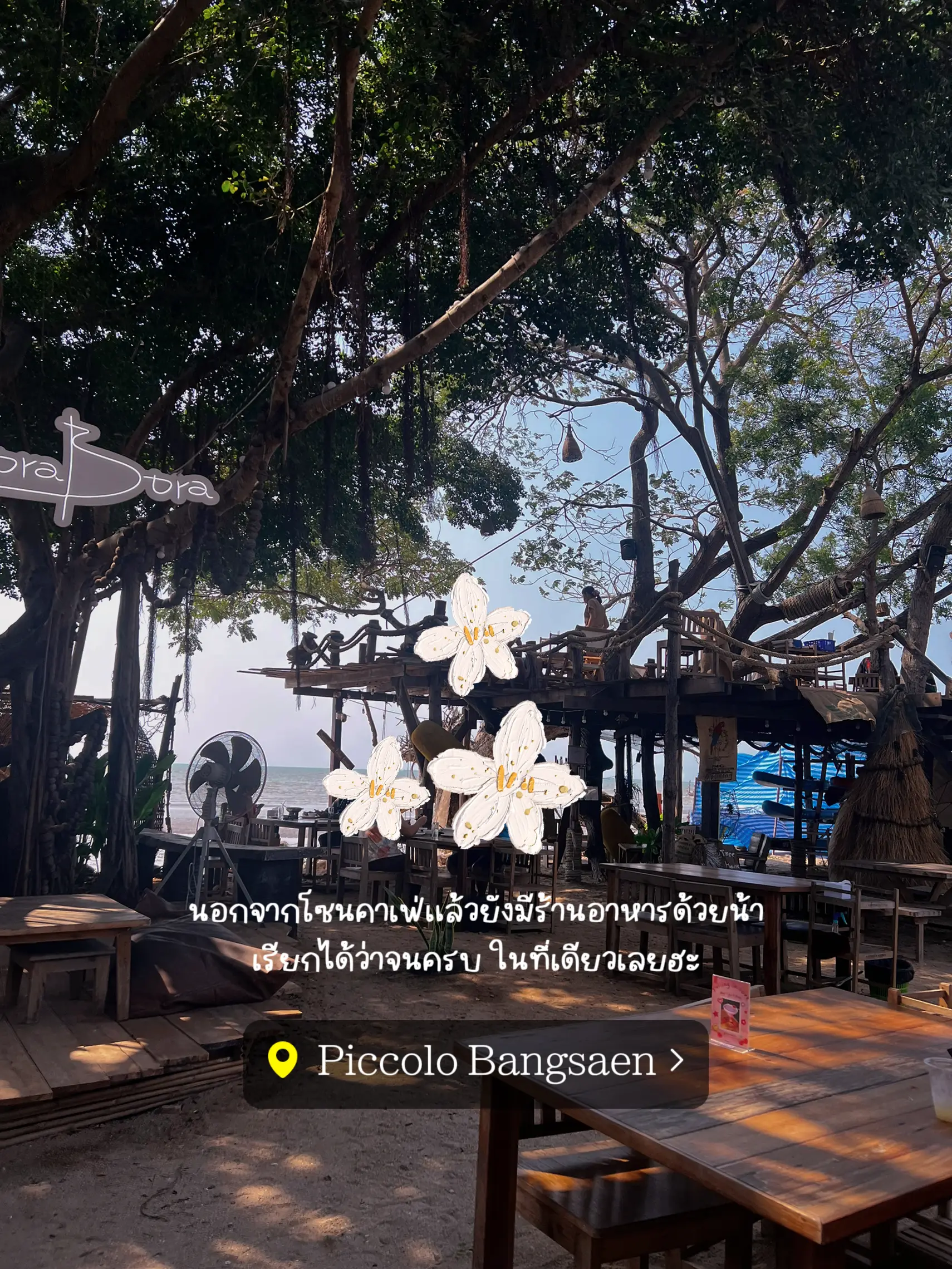 Piccolo Bangsaen คาเฟ่ลับ ติดทะเล มุมถ่ายรูปปังมาก!! 📌 แกลเลอรีที่
