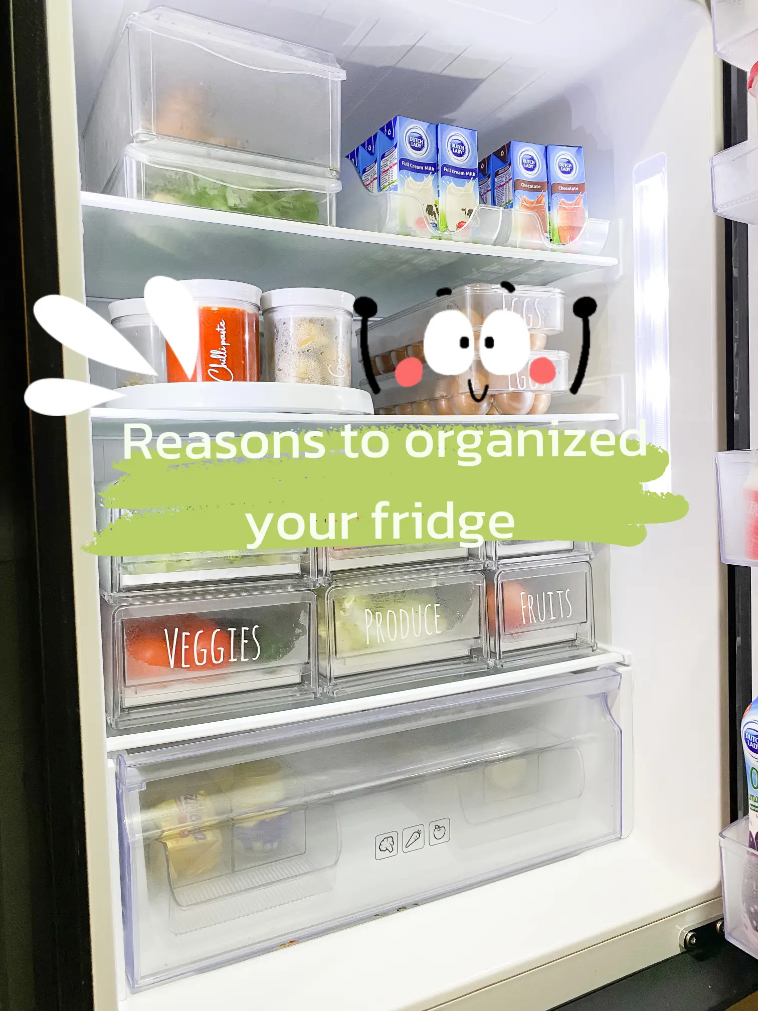 Resons You Should Organize Your Fridge — Feed Your Sister