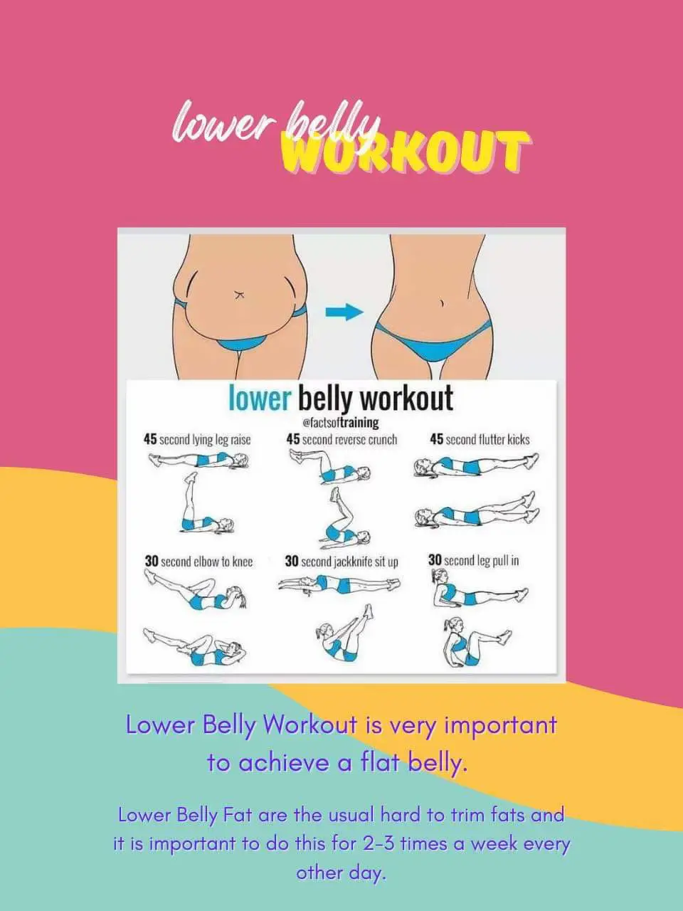 Lower Belly Workout  Lower belly workout, Belly workout, At home workout  plan