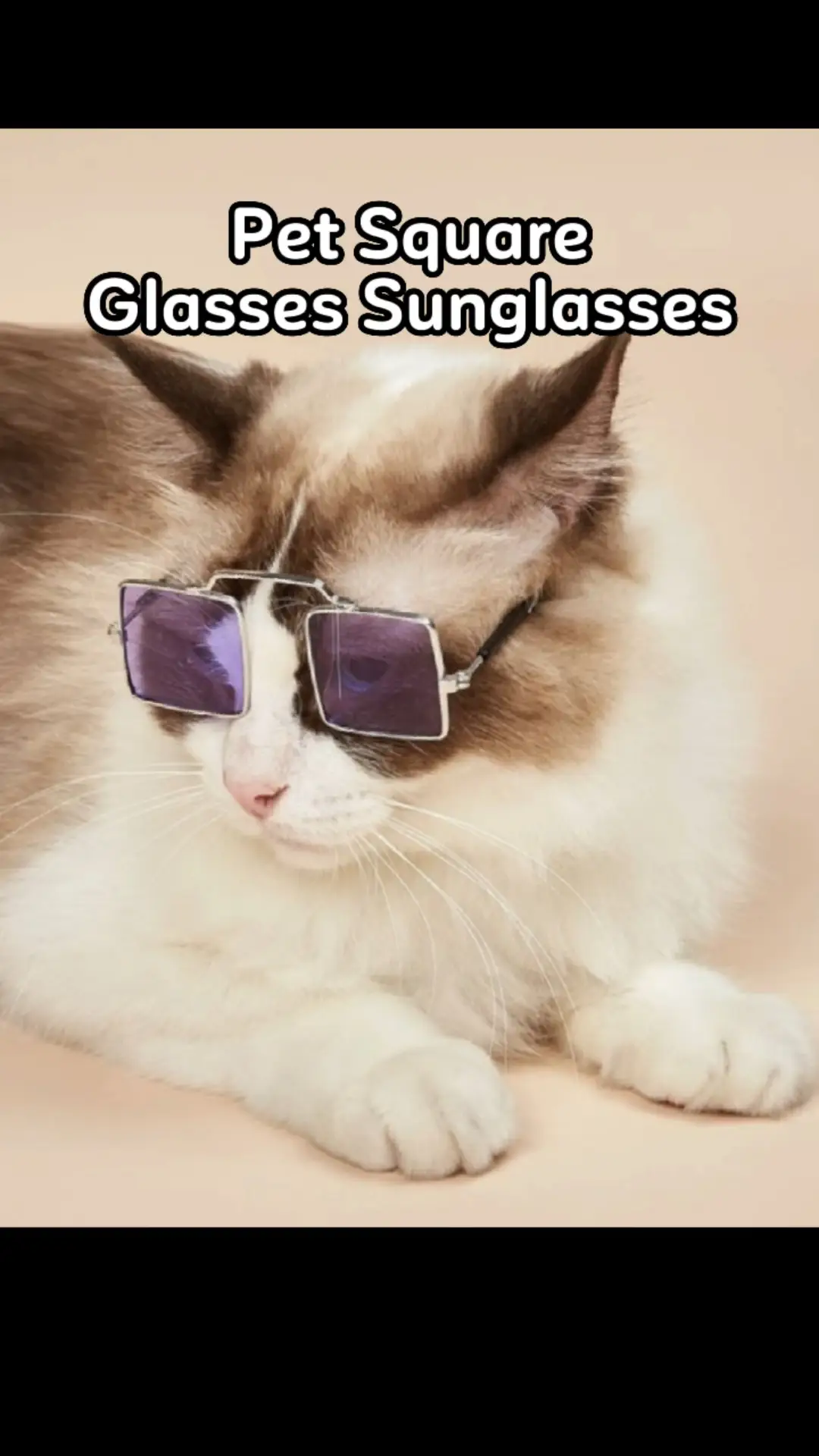 cat sunglasses, Article posted by Looksbydea