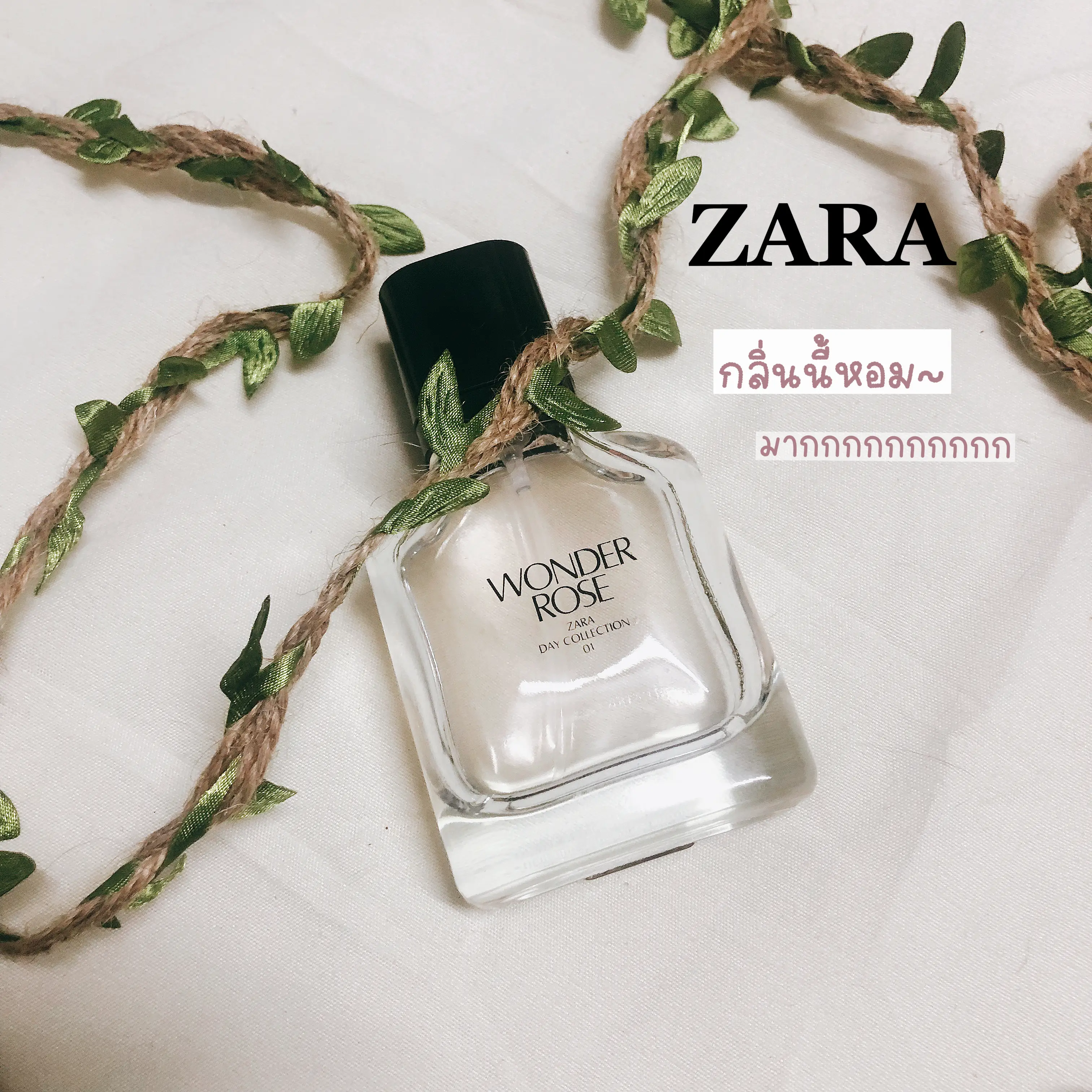 Wonder rose perfume online zara