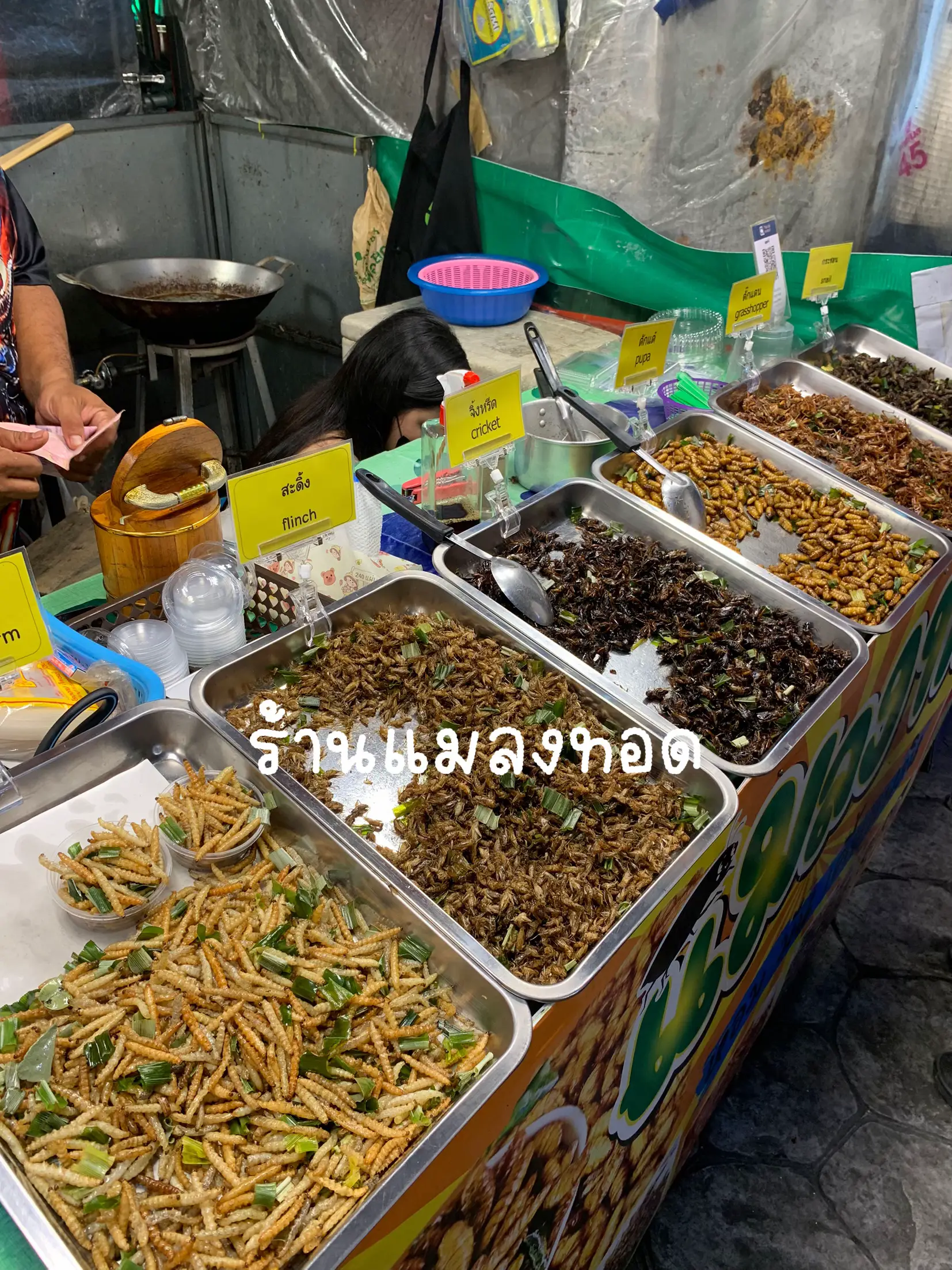 พาไปลุยลานเบียร์เมเจอร์ จะมีอะไรน่าซื้อน่ากินบ้างนะะะ? | แกลเลอรีที่ ...