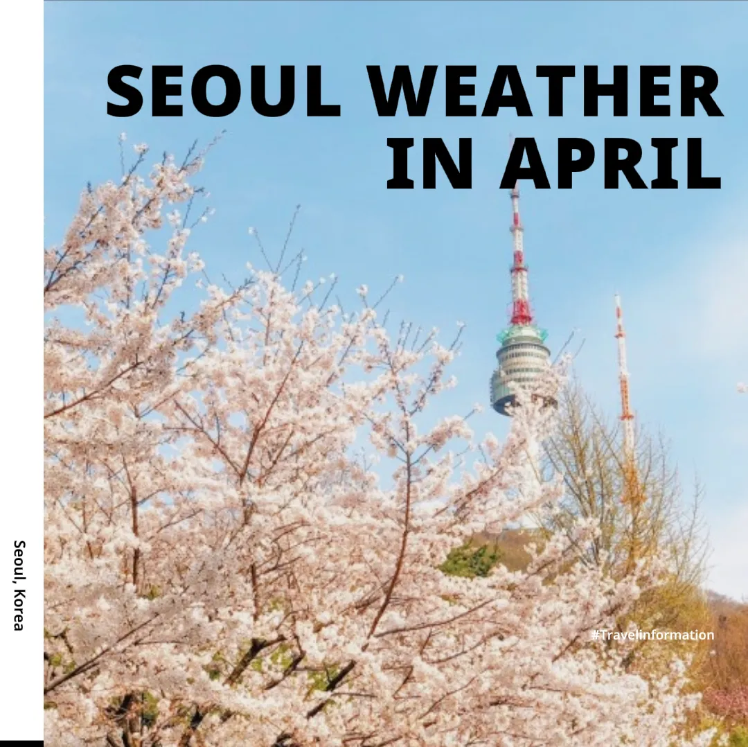 what-to-wear-in-seoul-in-april-gallery-posted-by-koreantraveller-lemon8