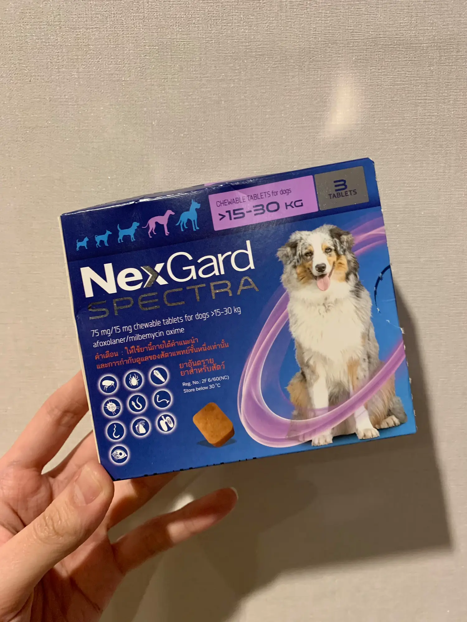 Nexgard spectra for dogs anti-tick medicine dog chewing type