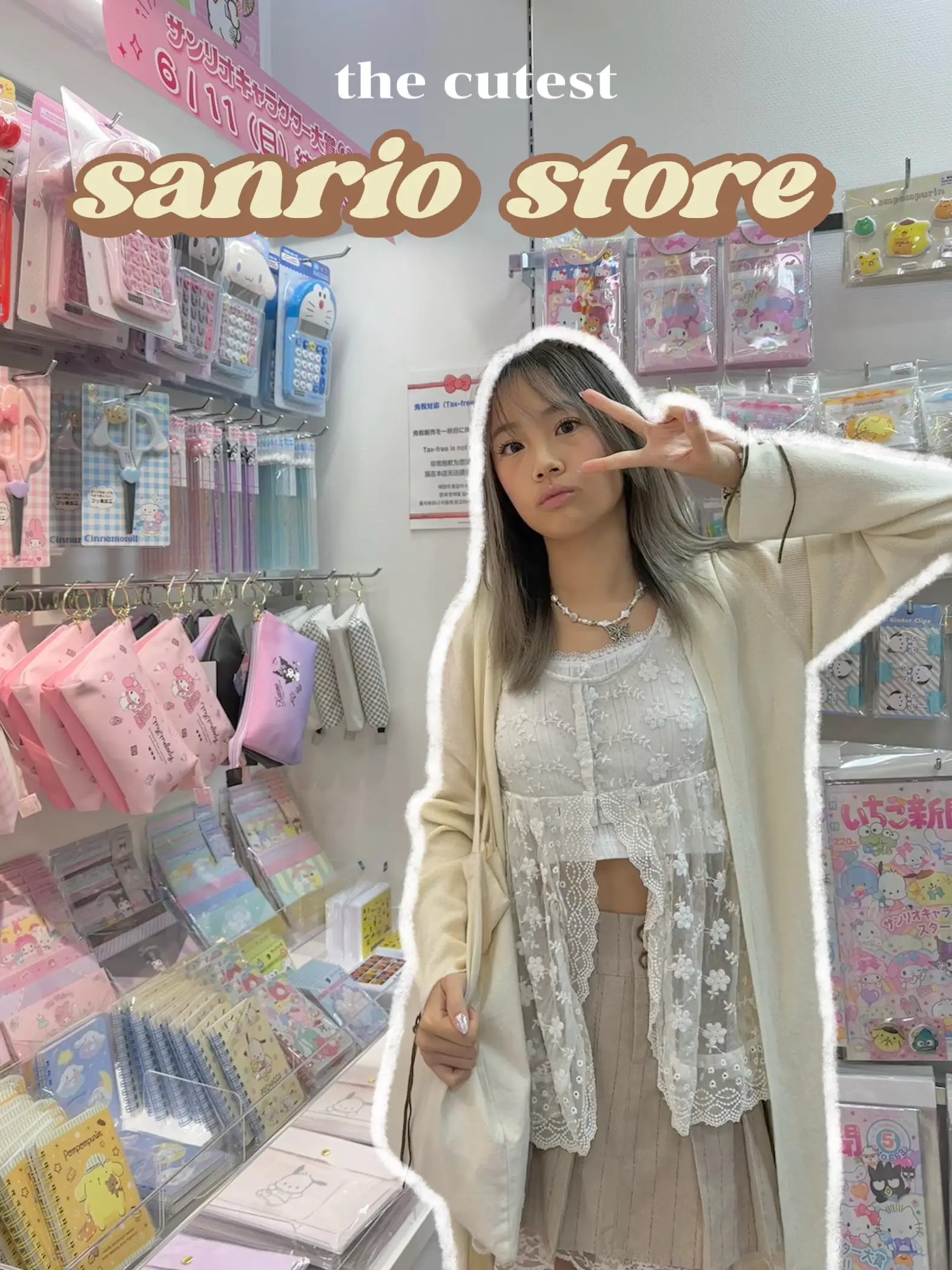 sanrio store 🎀🌸 in 2023  Sanrio store, Sanrio, Sanrio shop