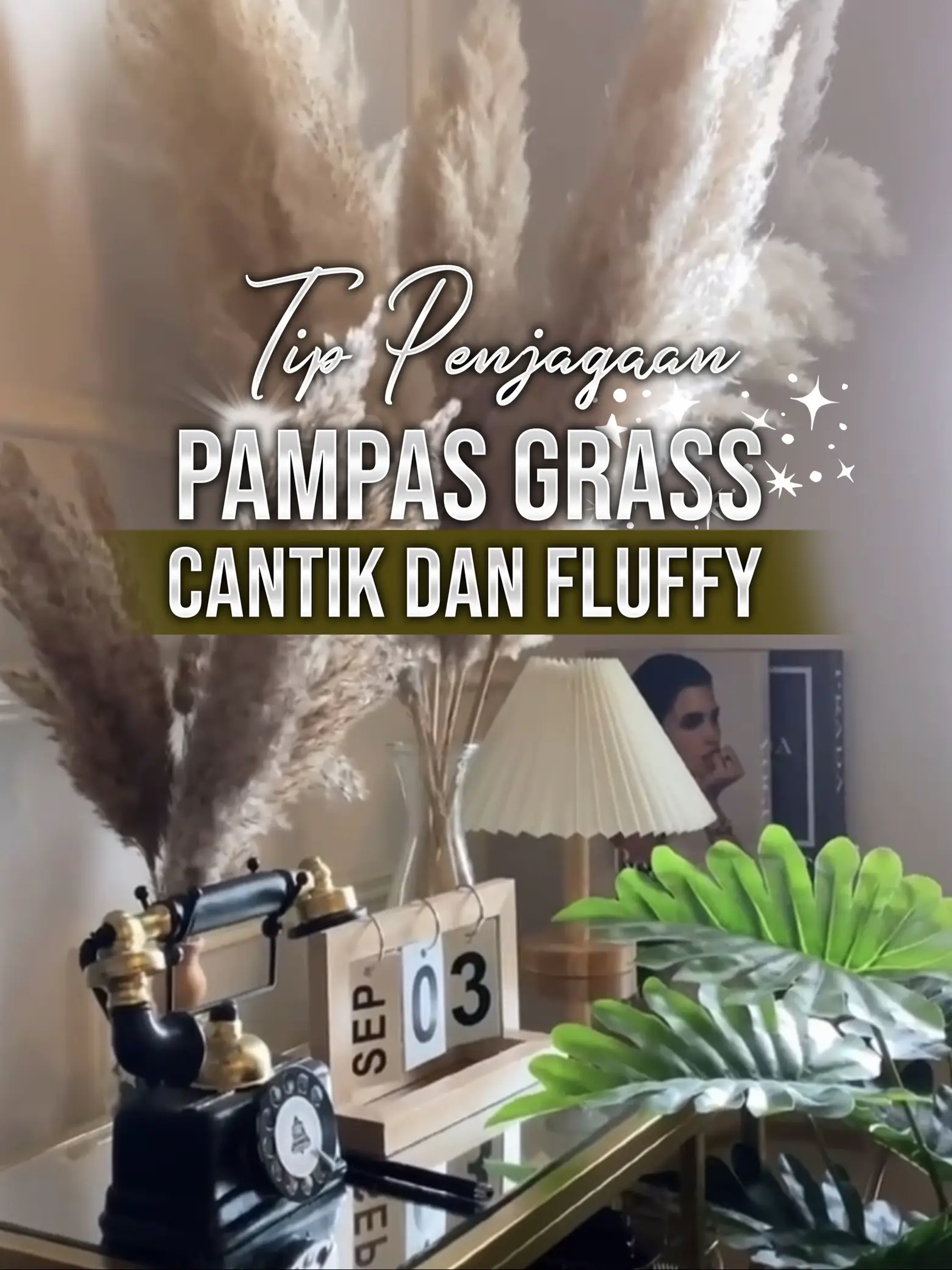 ❤️ TIP PENJAGAAN PAMPAS GRASS CANTIK DAN FLUFFY ❤️