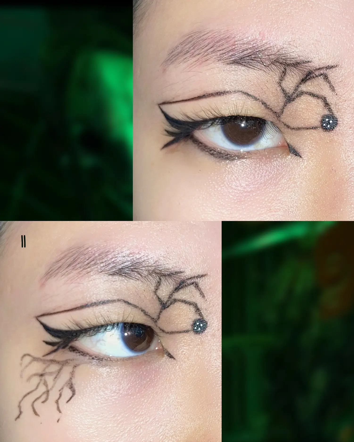 🖤🕷THE BELDAM (OTHER MOTHER) GRAPHIC LINER LOOK 🕸🪲