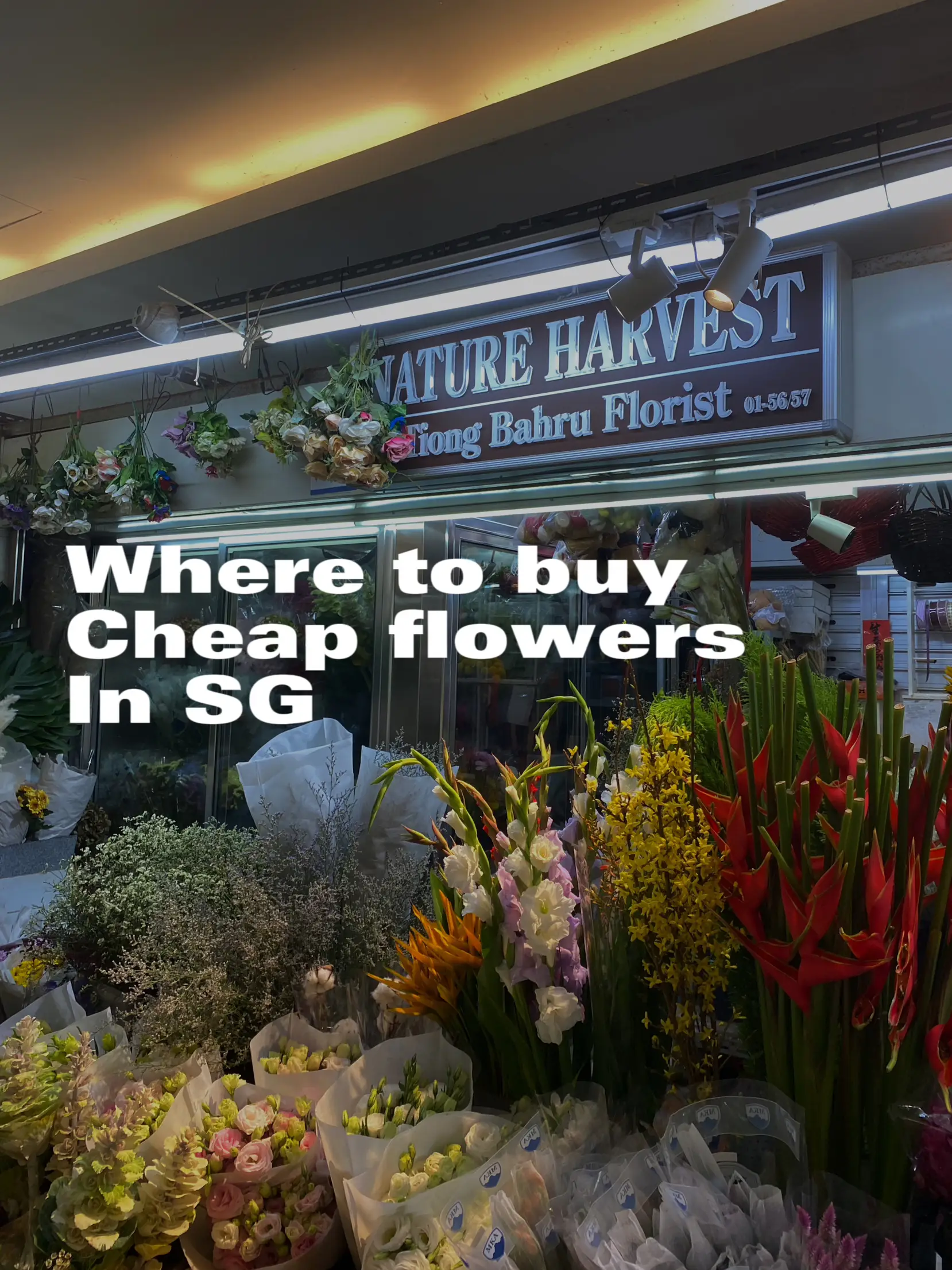 19 top Cheap Flower Shop Near Me ideas in 2024