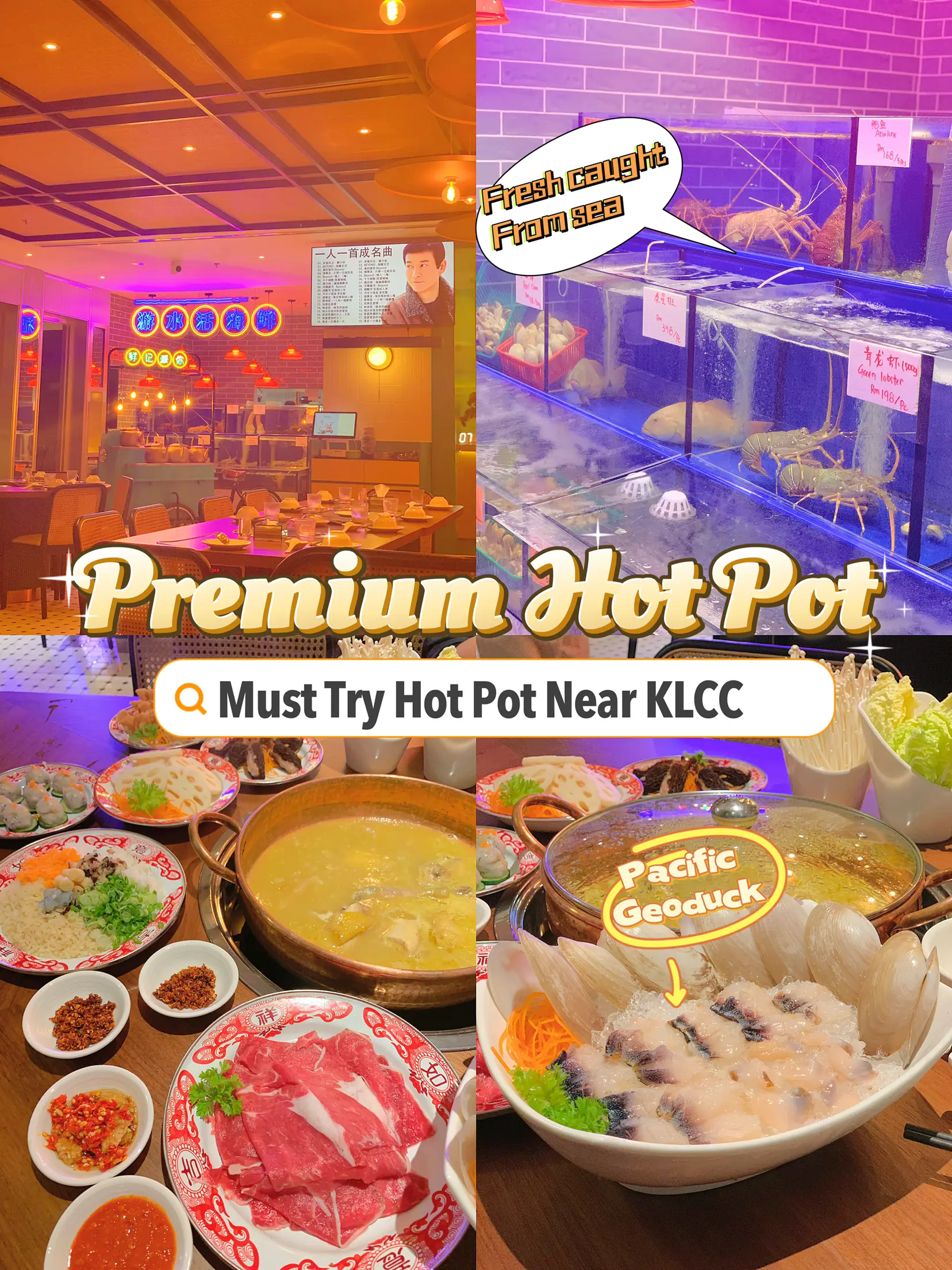 🇲🇾 Premium Hot Pot Near KLCC! แกลเลอรีที่โพสต์โดย MissJia99 Lemon8
