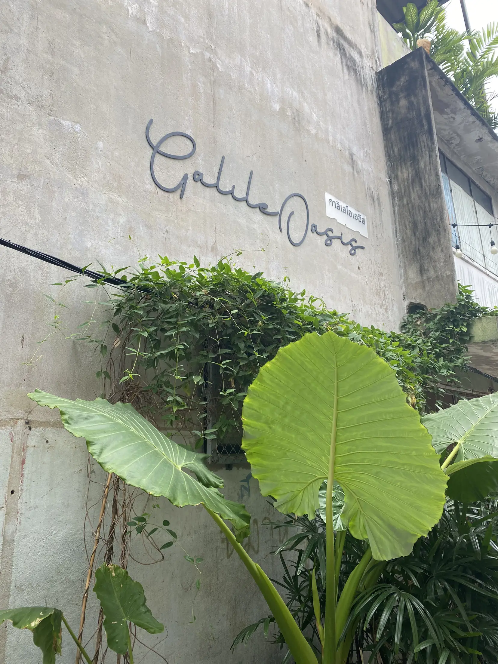 cafe-hopping-hidden-place-galileoasis