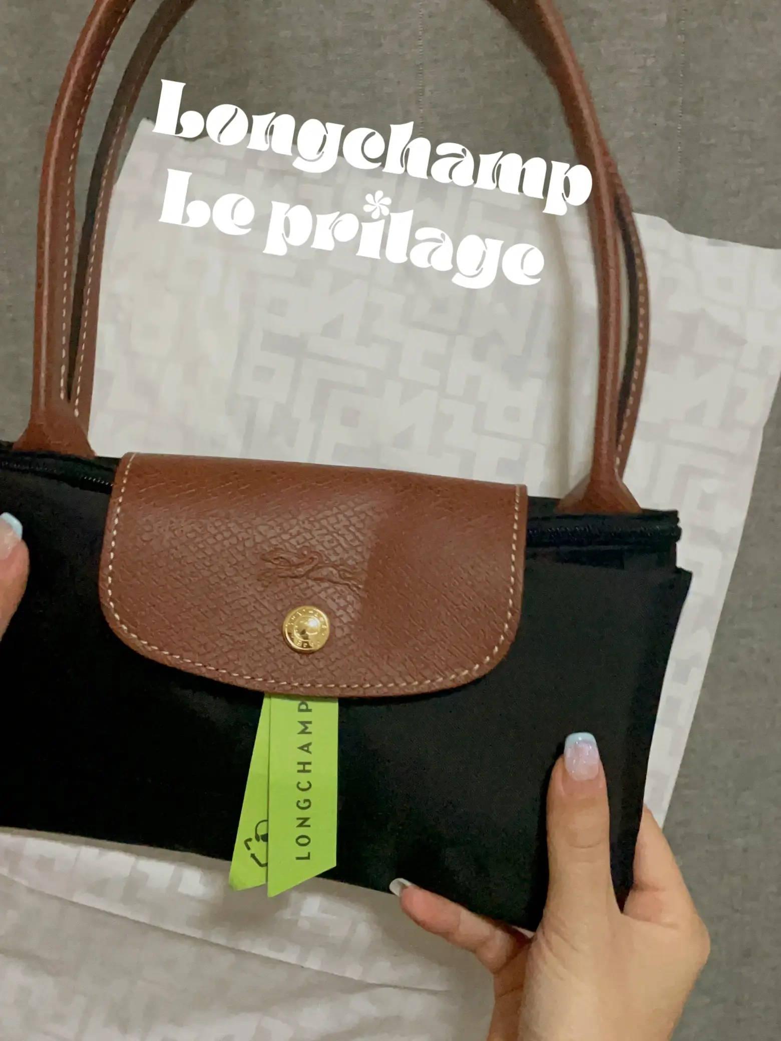  bag Organizer Insert for Longchamp Le Pliage Neo(Large)  Handbags Insert Organizer1012blue-L : Clothing, Shoes & Jewelry