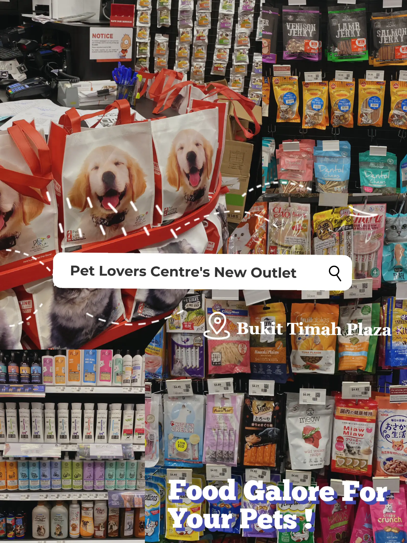 Pet outlet shop store near me