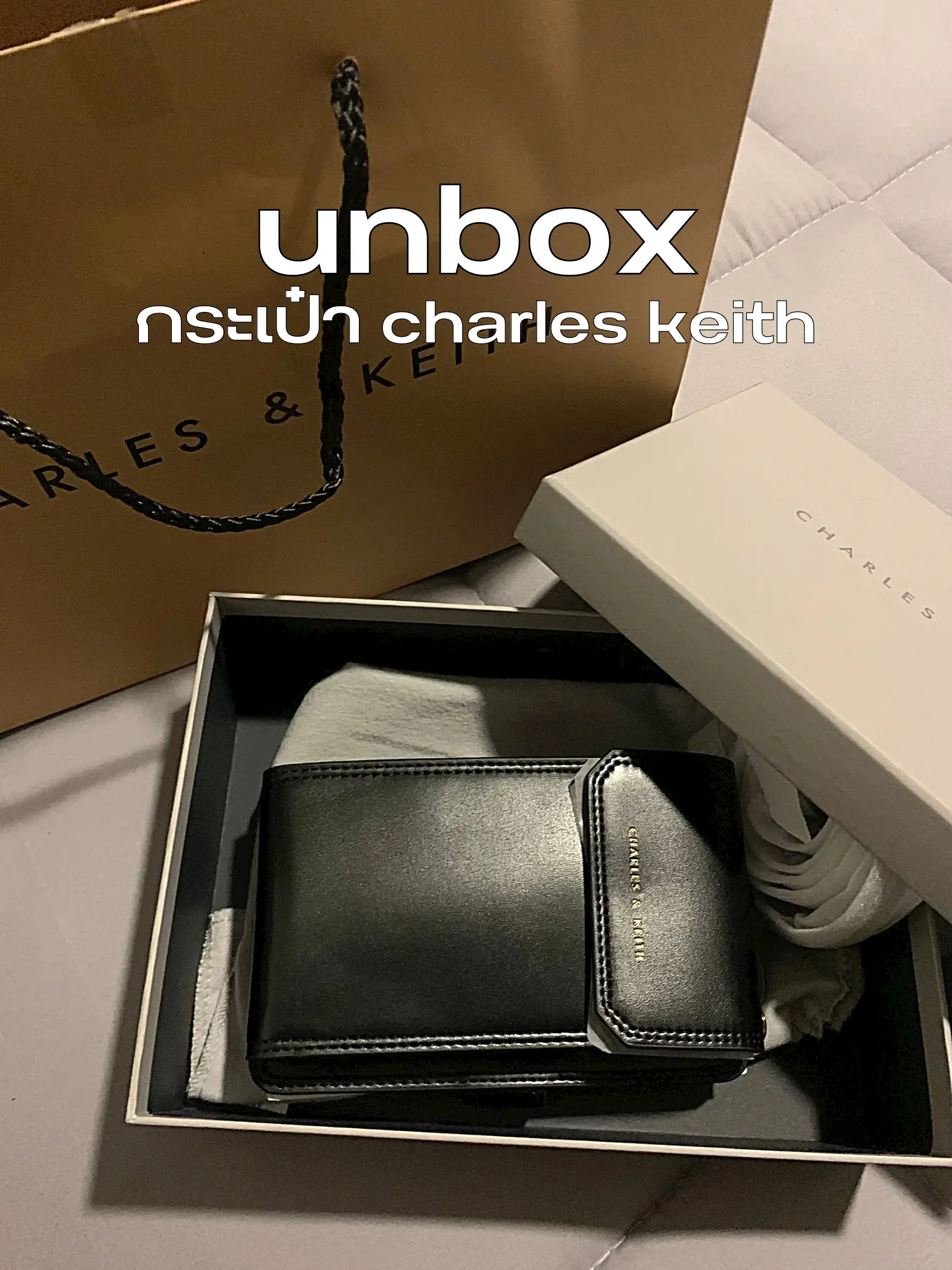 Charles and keith online box bag