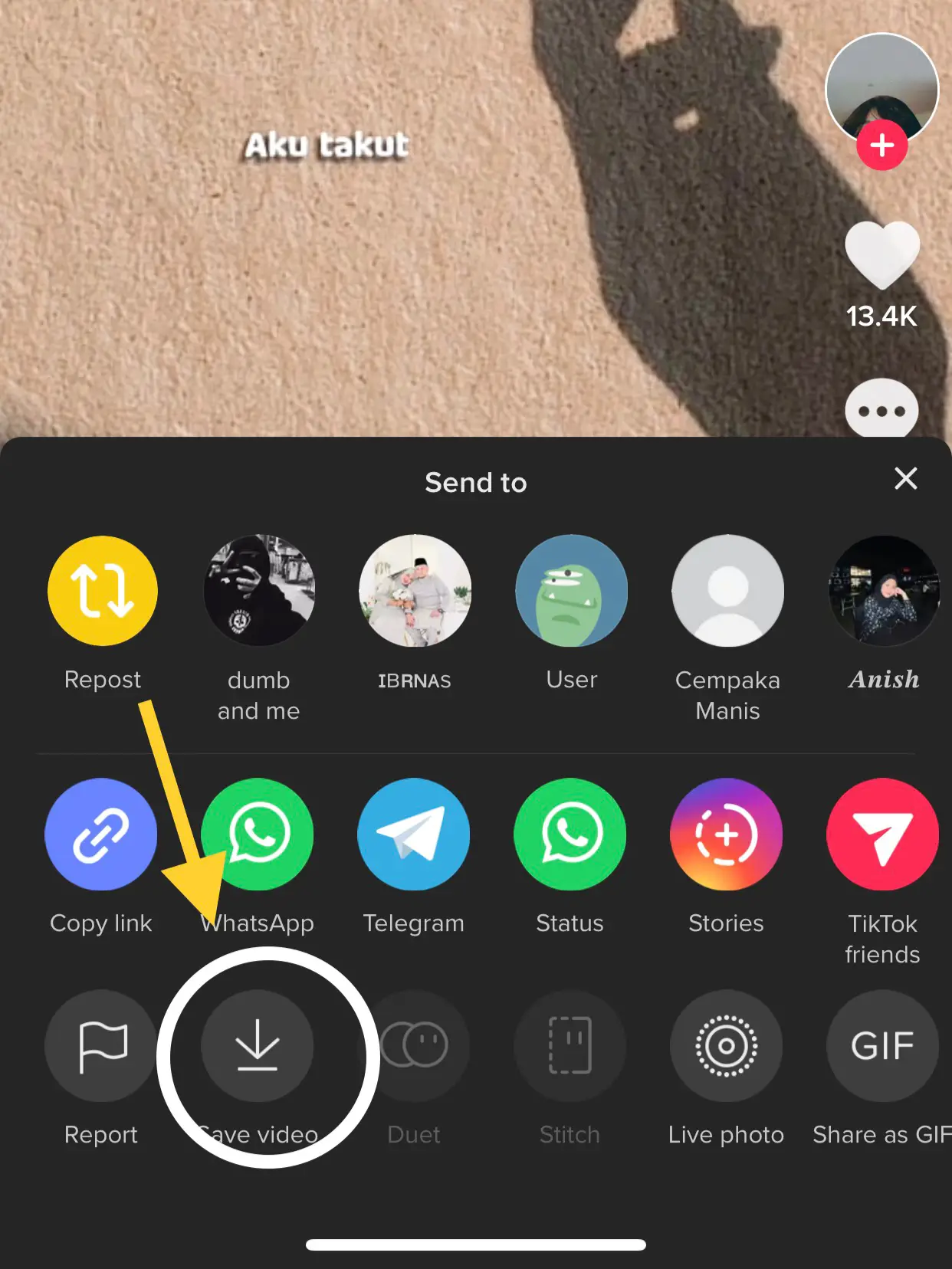 Tiktok Ringtone - Carian Lemon8