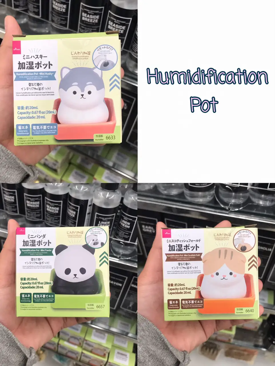 Must Have Items from Daiso Gallery posted by 아이린 Lemon8