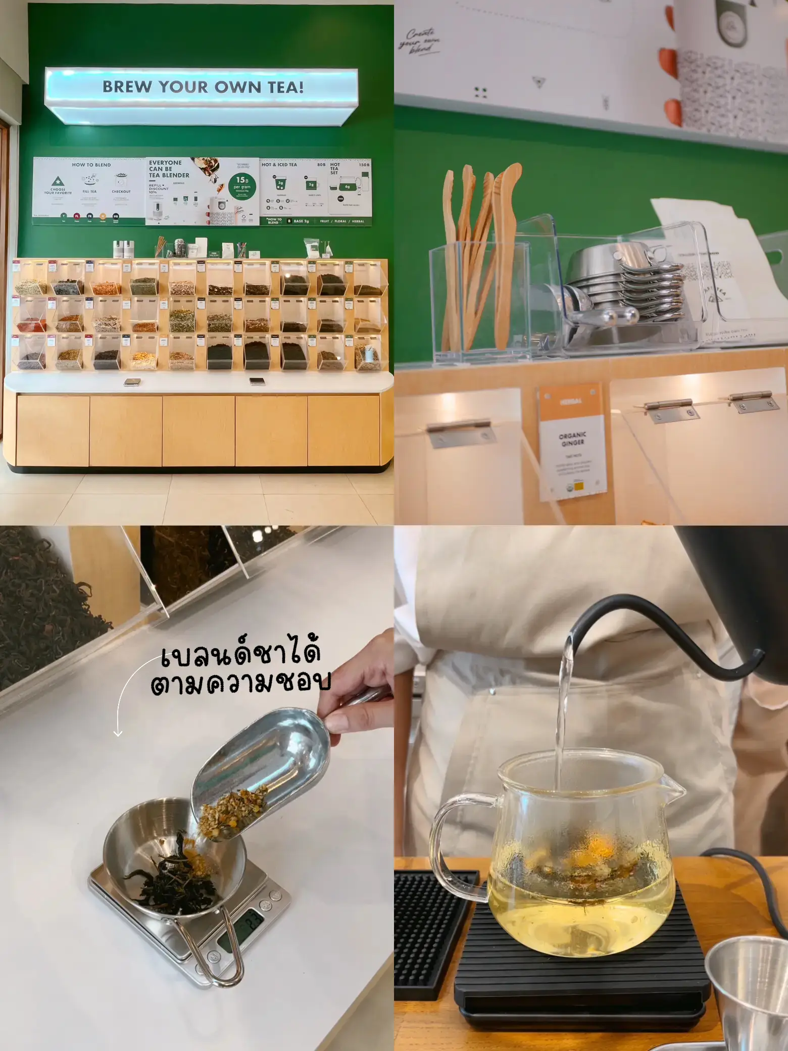 🌱ร้านชาที่เราสามารถเบลนด์ชาได้ด้วยตัวเอง🫖𝑵𝒐𝒓𝒕𝒉𝒍𝒂𝒏𝒅 𝑻𝒆𝒂 | แกลเลอรีที่ ...