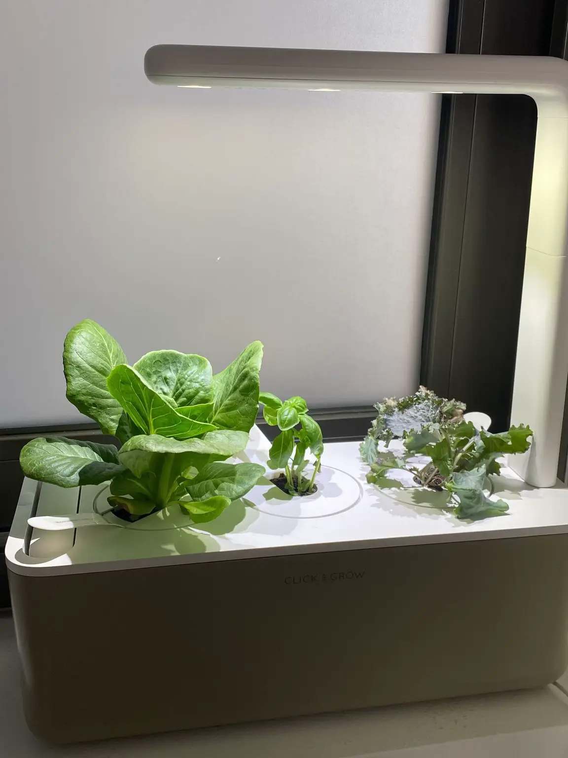 Honest review of my Click and Grow Smart Garden Gallery