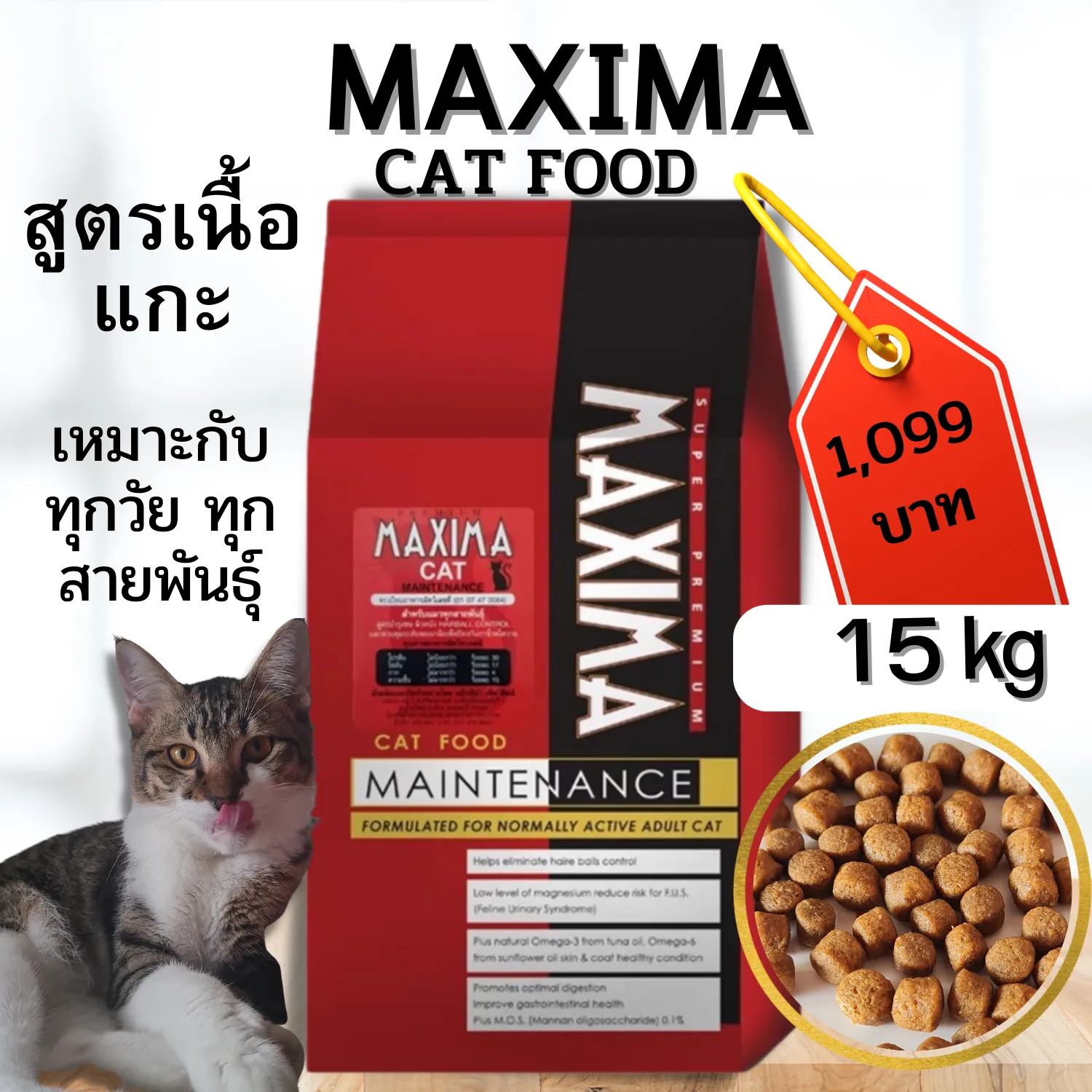 MAXIMA Super Premium Cat Food at Tangible Prices Gallery