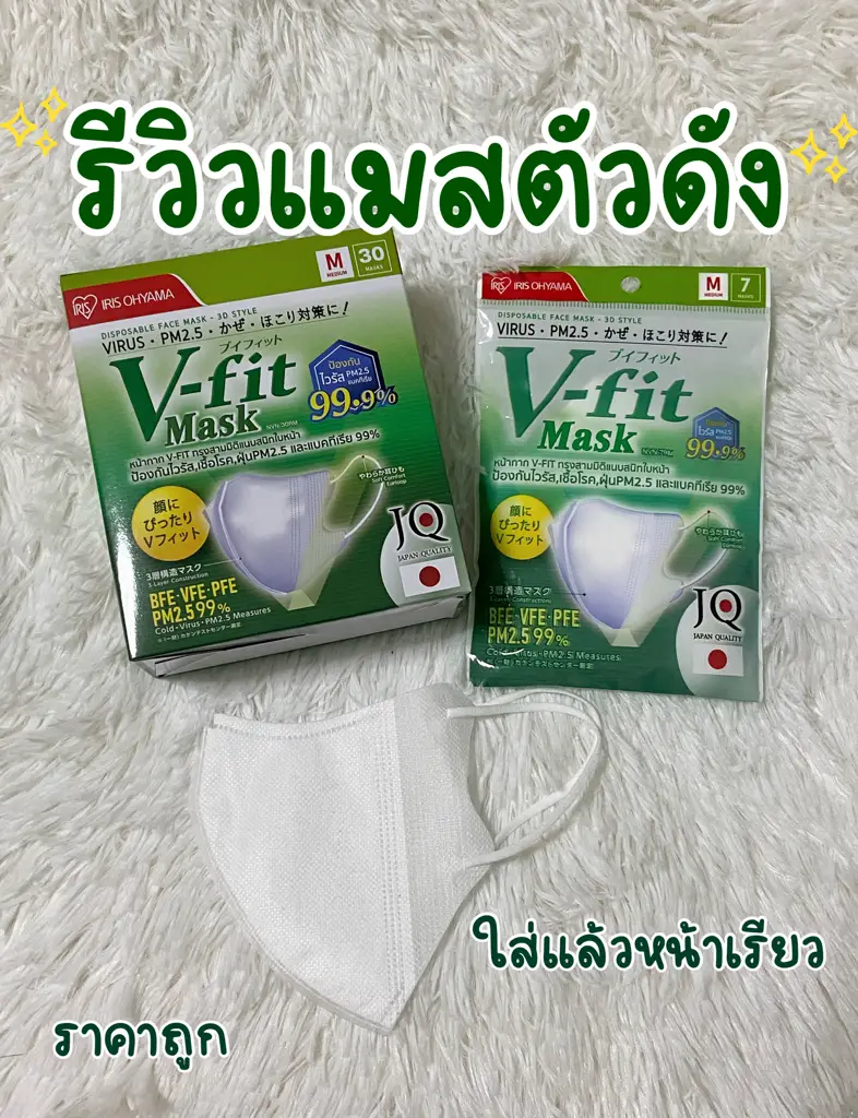 V-fit Mask - IRIS OHYAMA(THAILAND) CO.,LTD.