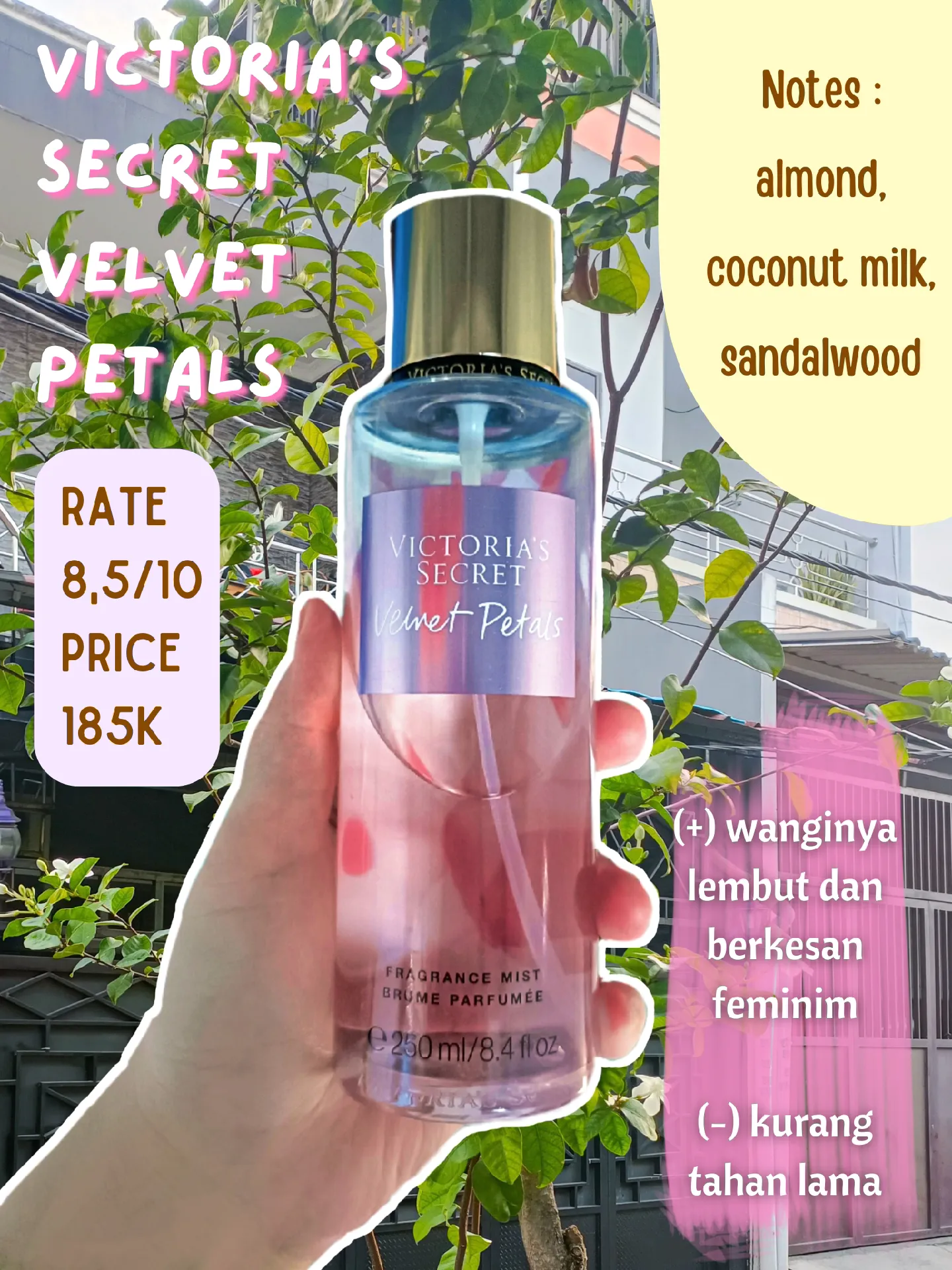 Body mist victoria secret yang wanginya tahan lama new arrivals