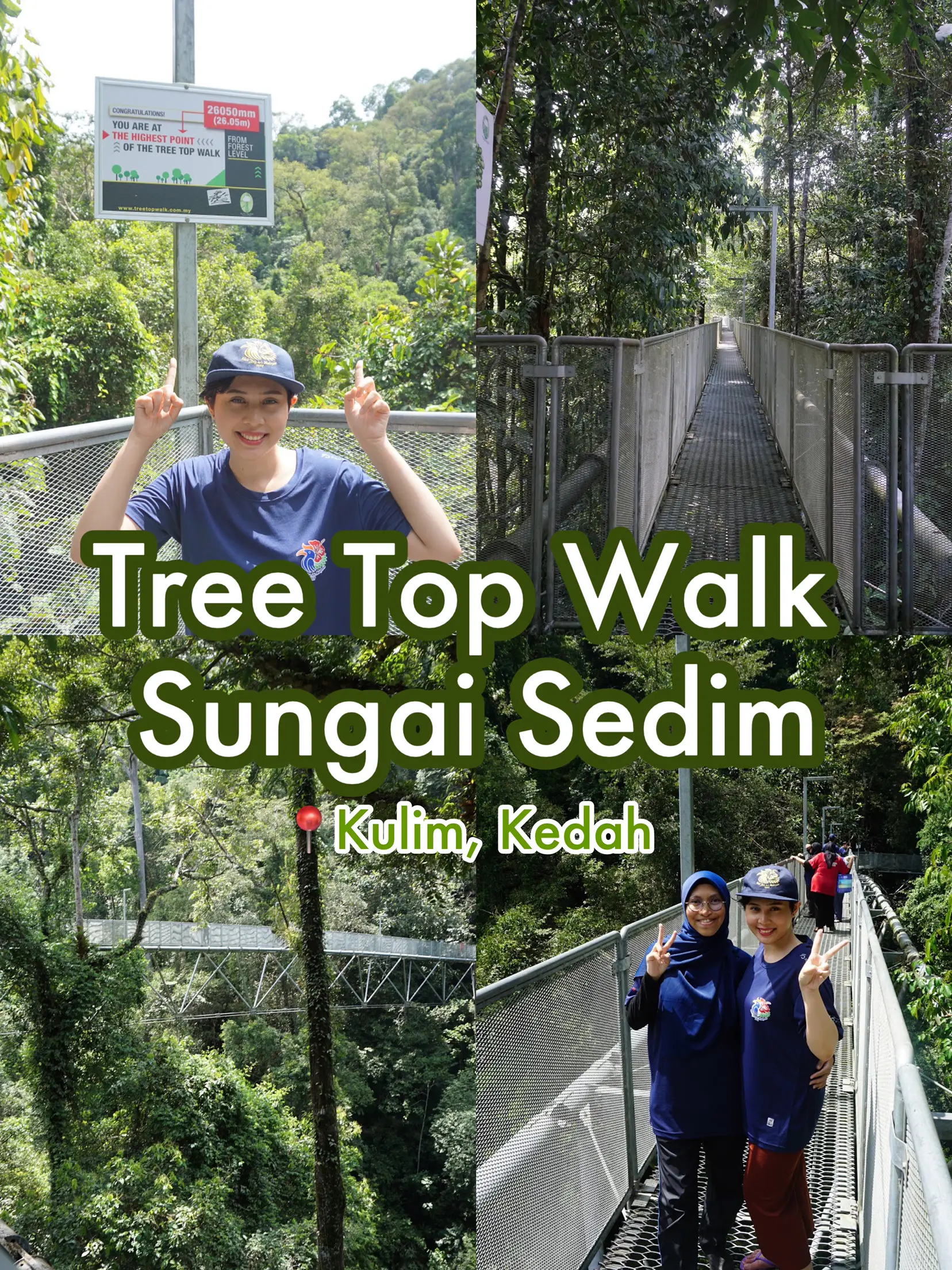 20 idea Tree Top Walk Taman Negara Sungai Relau teratas pada tahun 2024