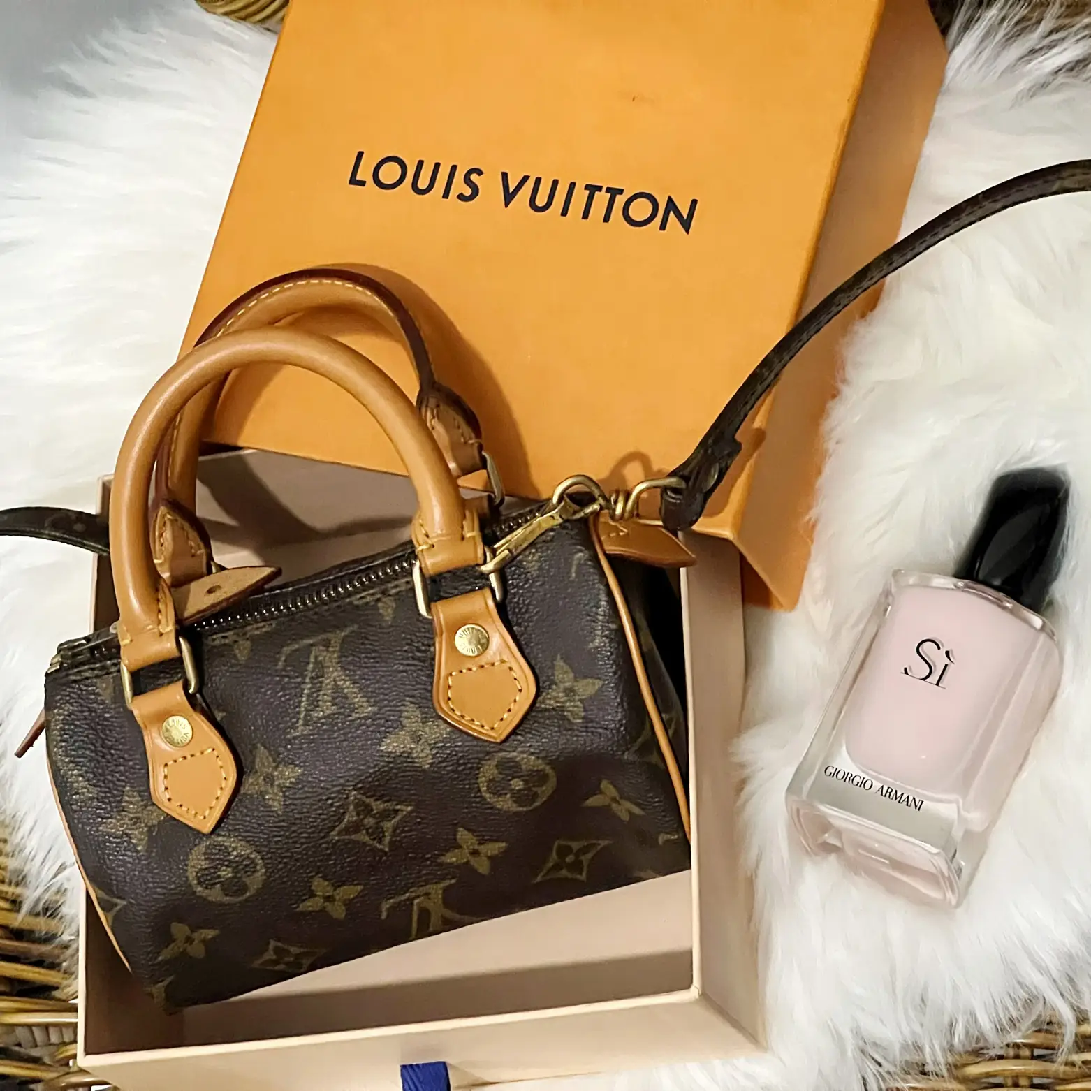 Louis Vuitton HL Mini Speedy Vs. Louis Vuitton Nano Speedy 
